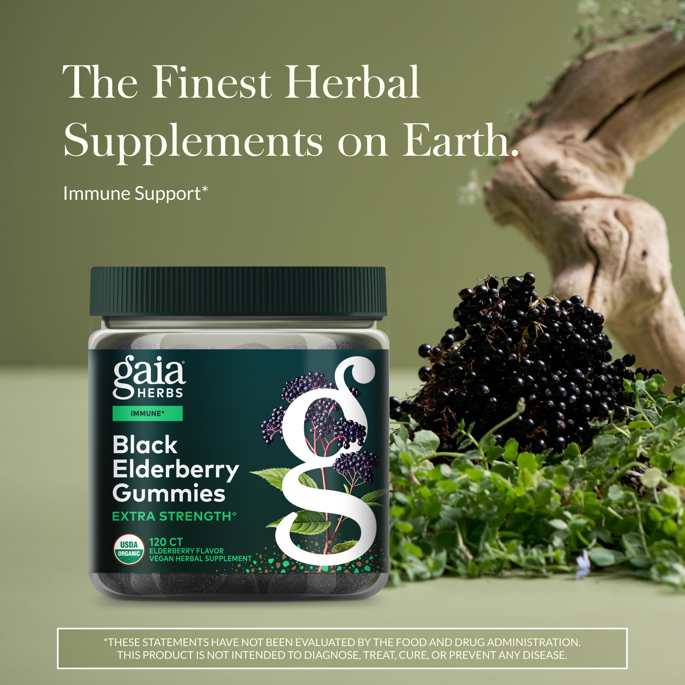 Gaia Herbs Black Elderberry (Sambucus nigra) Extra Strength, 120