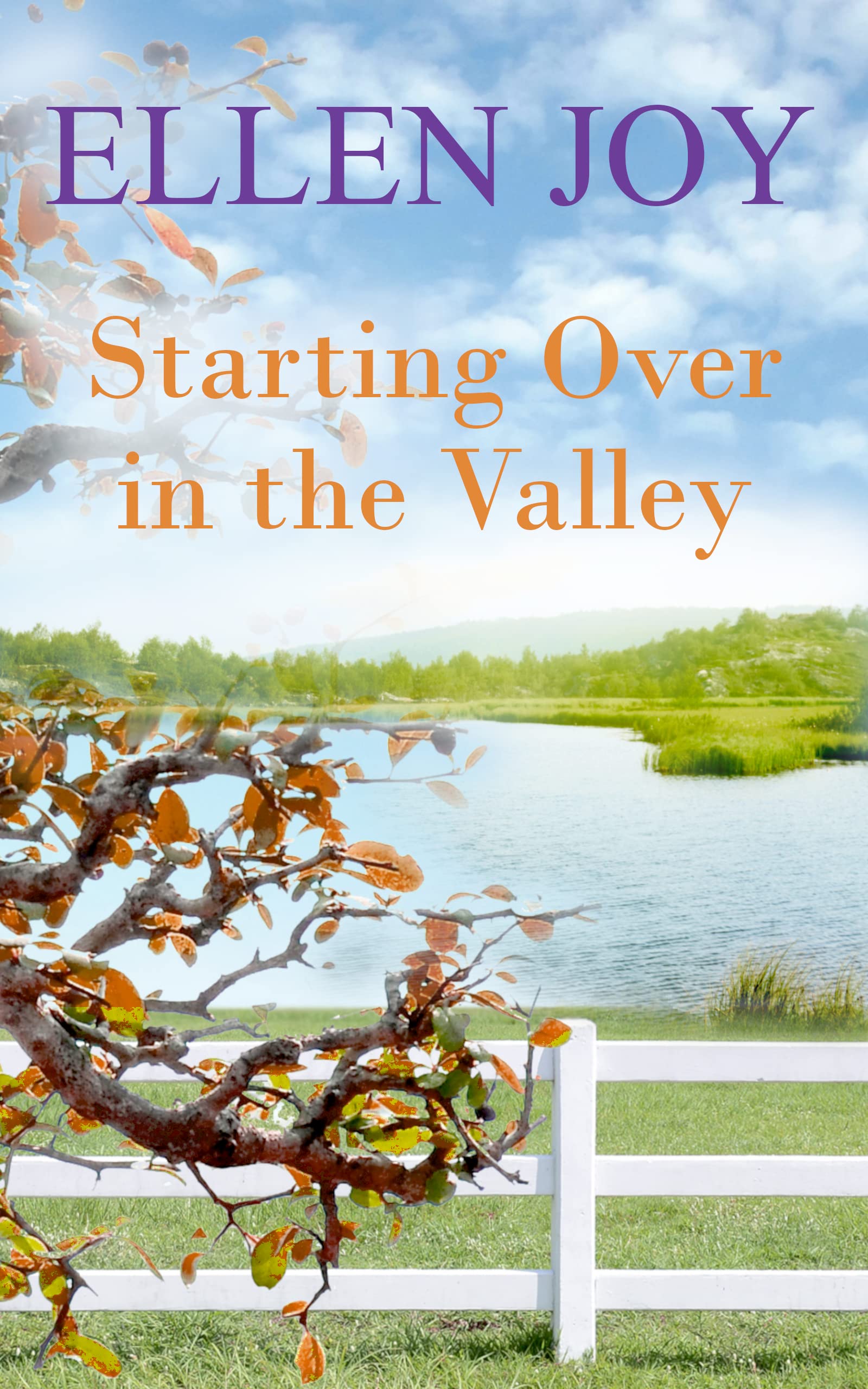 Starting Over in the Valley: Small Town Romantic Women’s Fiction (Prairie Valley Sisters, 3)