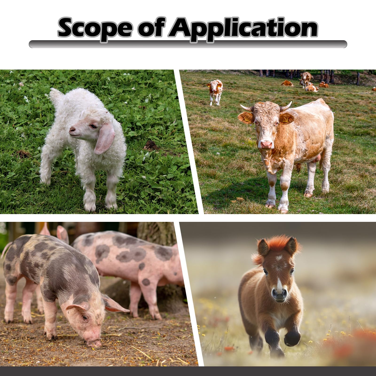 Bétail Sling, Hamac De Toilettage, Sangle De Pesée Réglable, Fournitures De Pesée Du Bétail, Pèse-Bébé En Nylon Pour Animaux Veau, Écharpe De Pesée Pour Animaux, Ceinture De Pesée Pour Le Bétail
