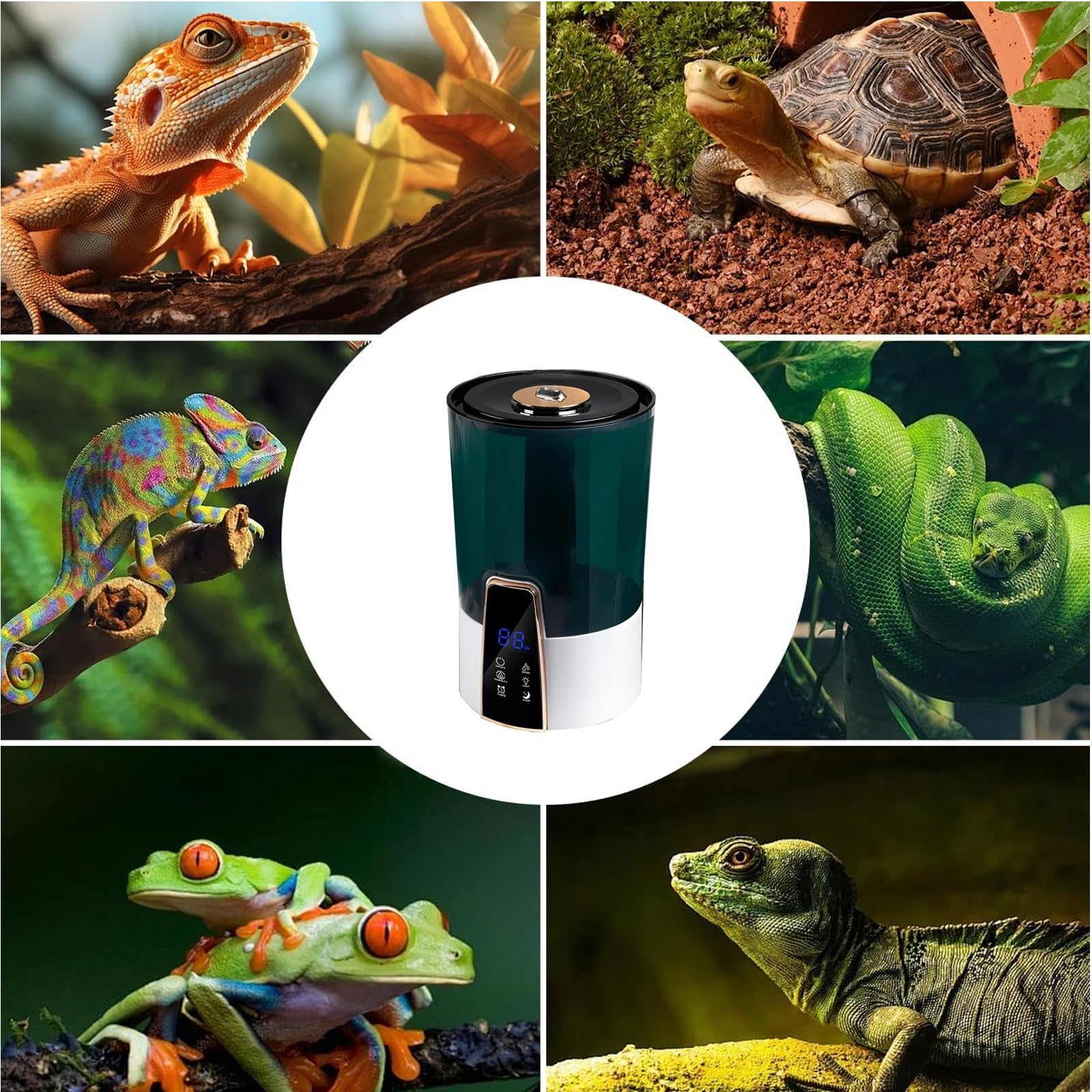 Nebulizzatore Umidificatore per Rettili, Sistema di Nebulizzazione per Rettili, Umidificatore Nebulizzatore per Terrari, Grande capacità 4L.