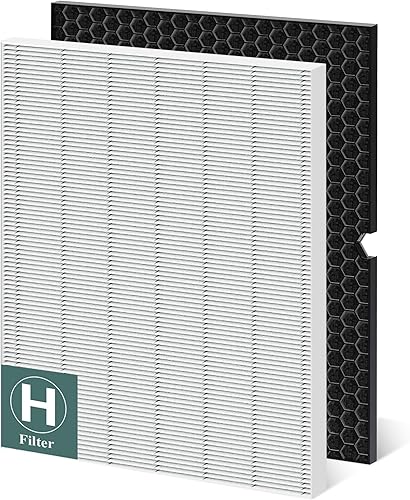 116130 Filtro de repuesto H para purificador de aire Winix 5500-2 y AM80, filtro HEPA y filtro de carbón activado paquete combinado