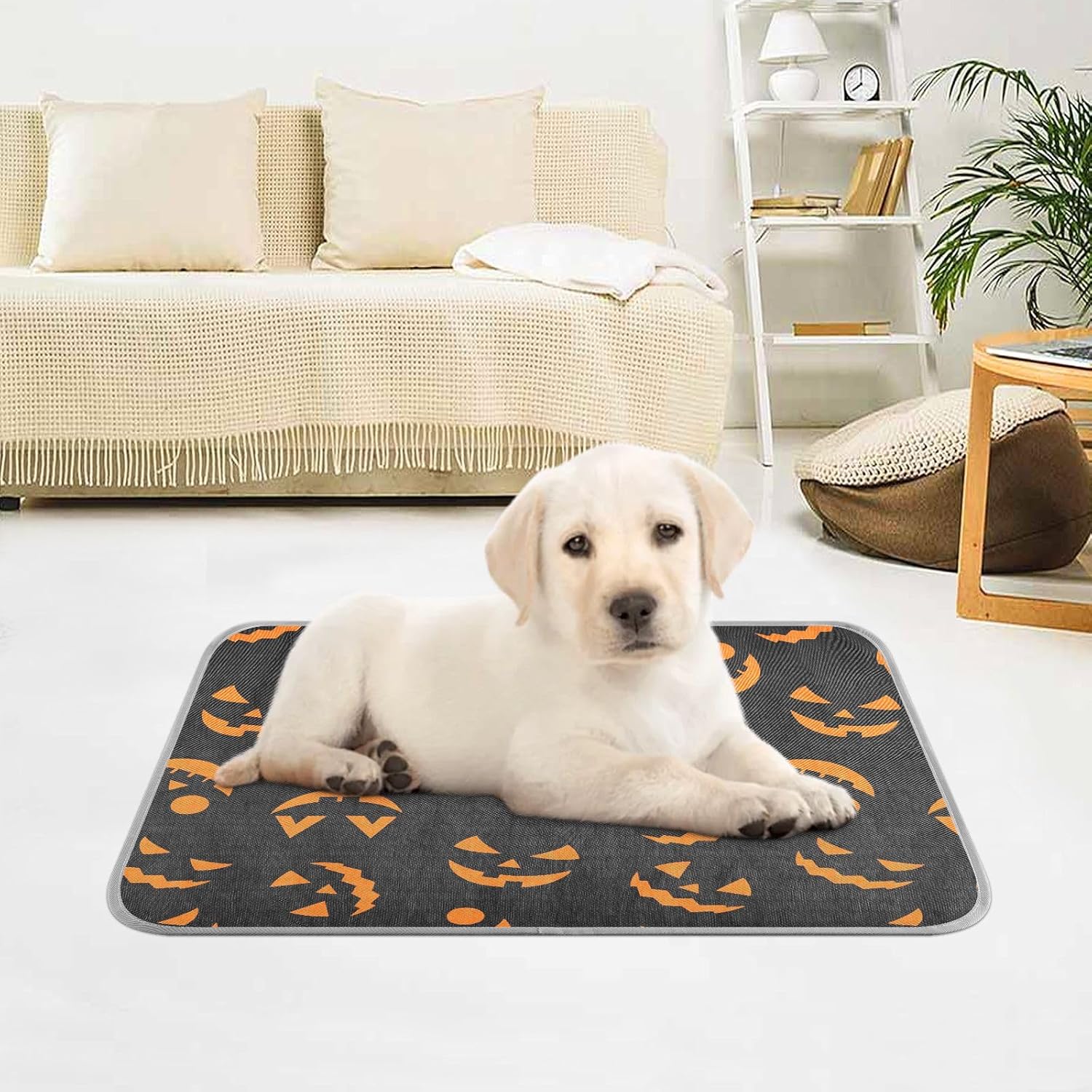 review Washable Dog Cooling Mat Jack O Latern Face Summer Cats Sleeping Mat Halloween Glowing Dog Bed Mats 23.6 * 38.6inch Pet Ice Silk Sleep Kennel Pad Animal Sleep Bed for Home Outdoor Travel