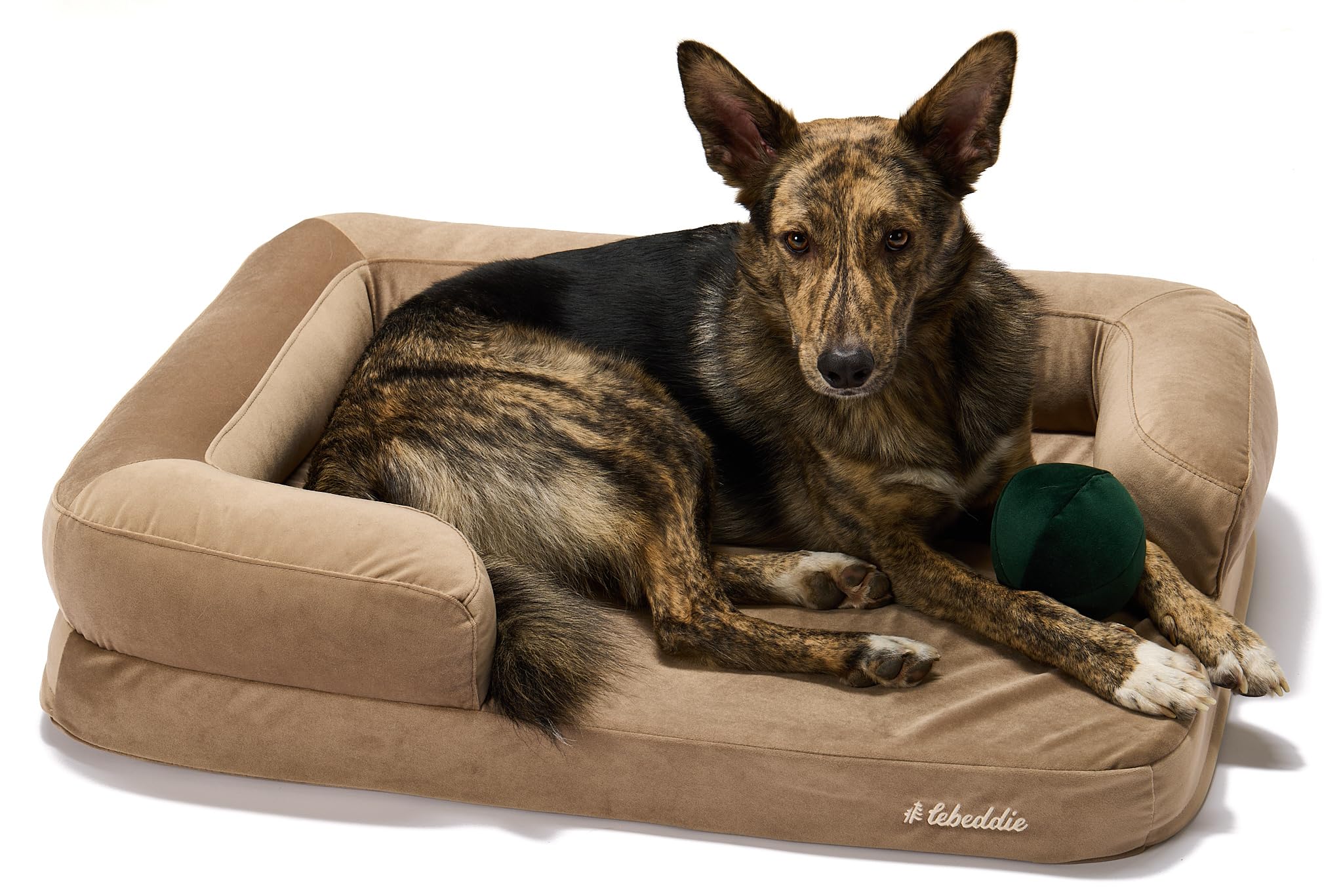 Canapé Lit pour Chien S avec Matelas Orthopédique en Mousse Marron XL