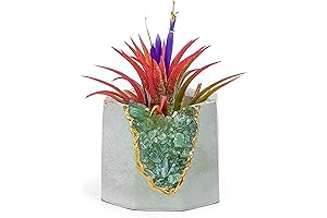 Raw Green Apatite Crystal Planter | Mini Succulent Plants Pot