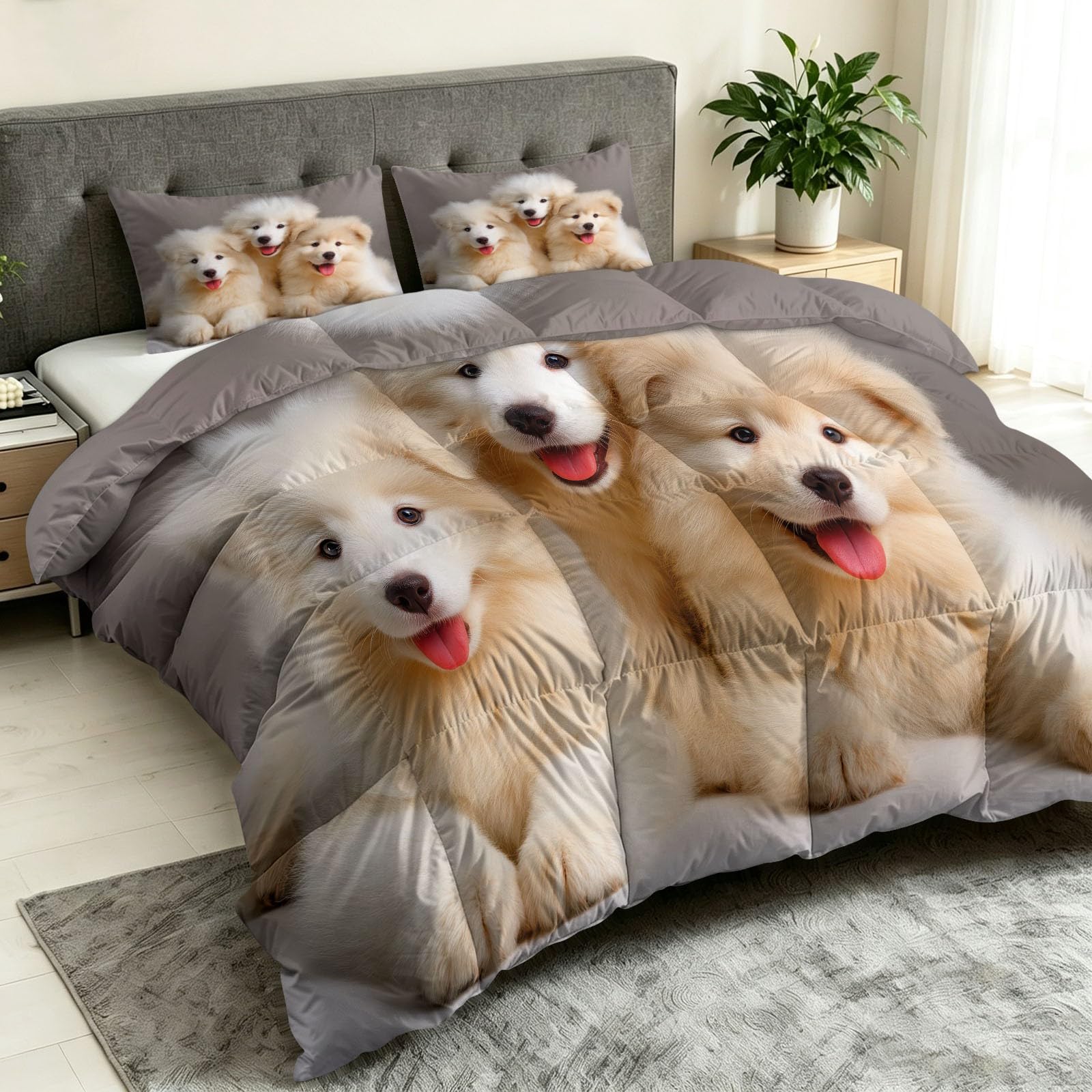 Couette Réversible Chien Samoyède Animal de Compagnie pour Lit 2 Personnes Couette sans Housse Mignon pour Enfants Lavable en Machine avec Taies d'oreiller pour Toutes Saisons, Gris, 200 x 200 cm
