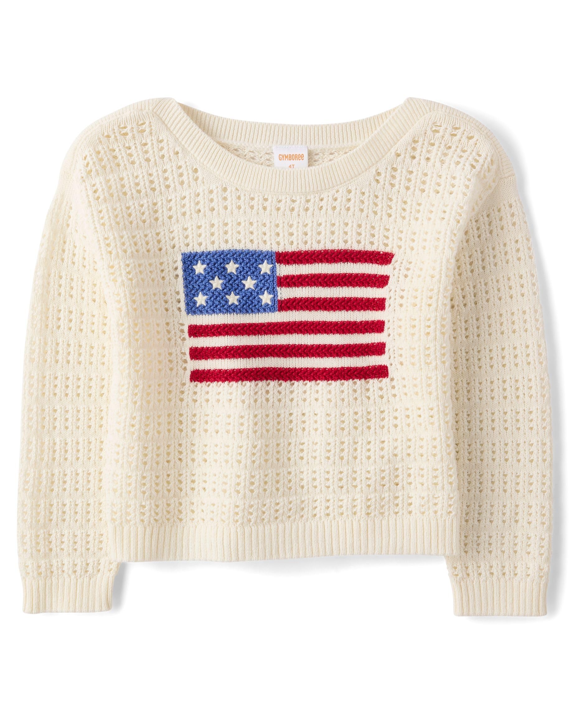 Gymboree Boys' and Toddler Long Sleeve Embroidered Crew Neck Pullover Sweater