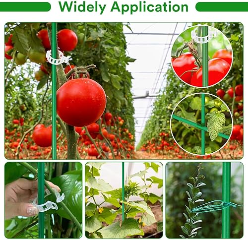 Miniatura 5 de Tetutor Paquete de 80 estacas de jardín, estacas de tomate de fibra de vidrio, estacas resistentes para plantas de interior y exterior, soportes