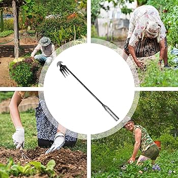 園芸 草取り 草刈り 雑草 園芸用品 ガーデニング ピーラー Joxoilso