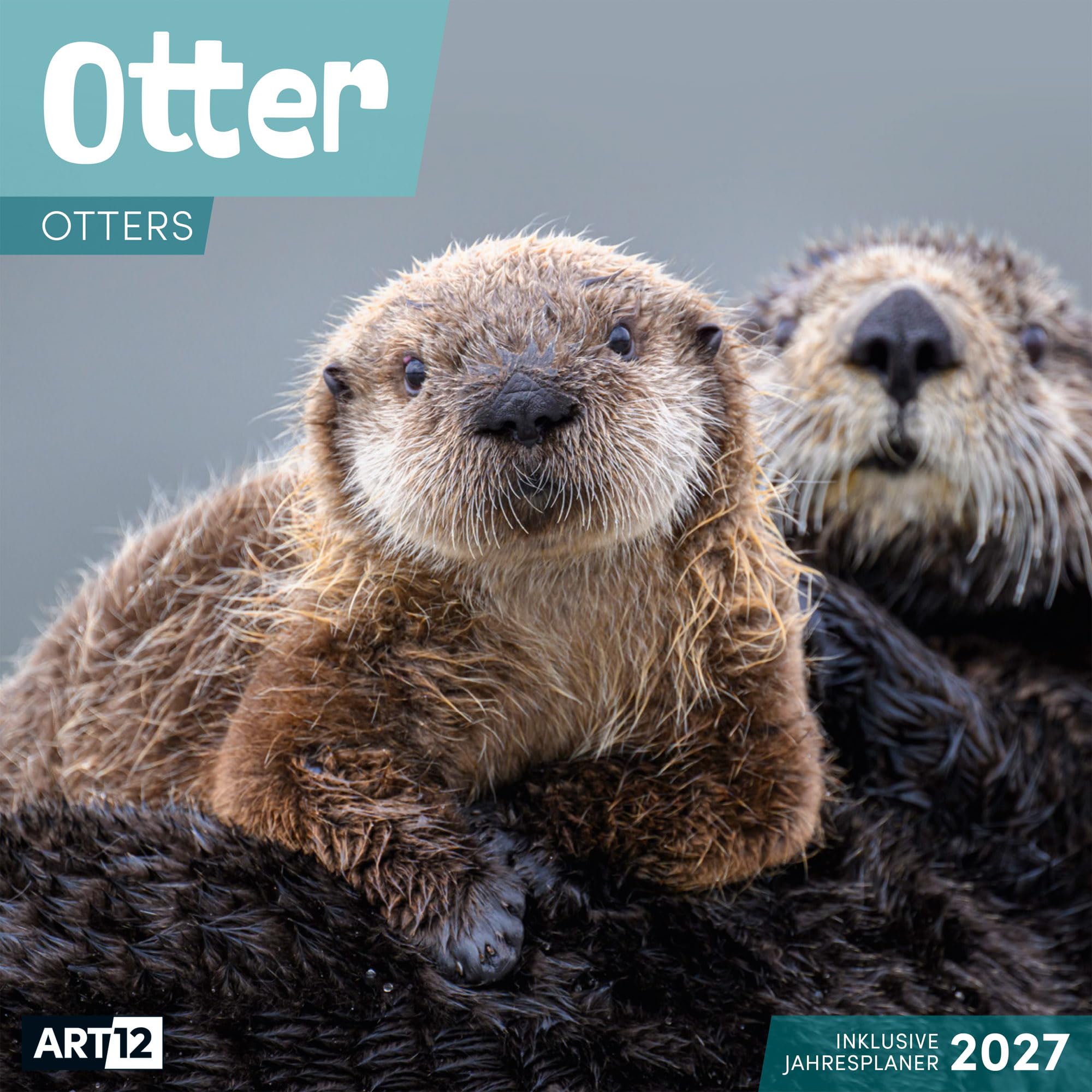 Otter Kalender 2027 - 30x30 - Art12: Niedlicher Tier-Kalender im schlanken Hochformat (aufgeklappt 30x60 cm) | mit Eintrage-Kalendarium