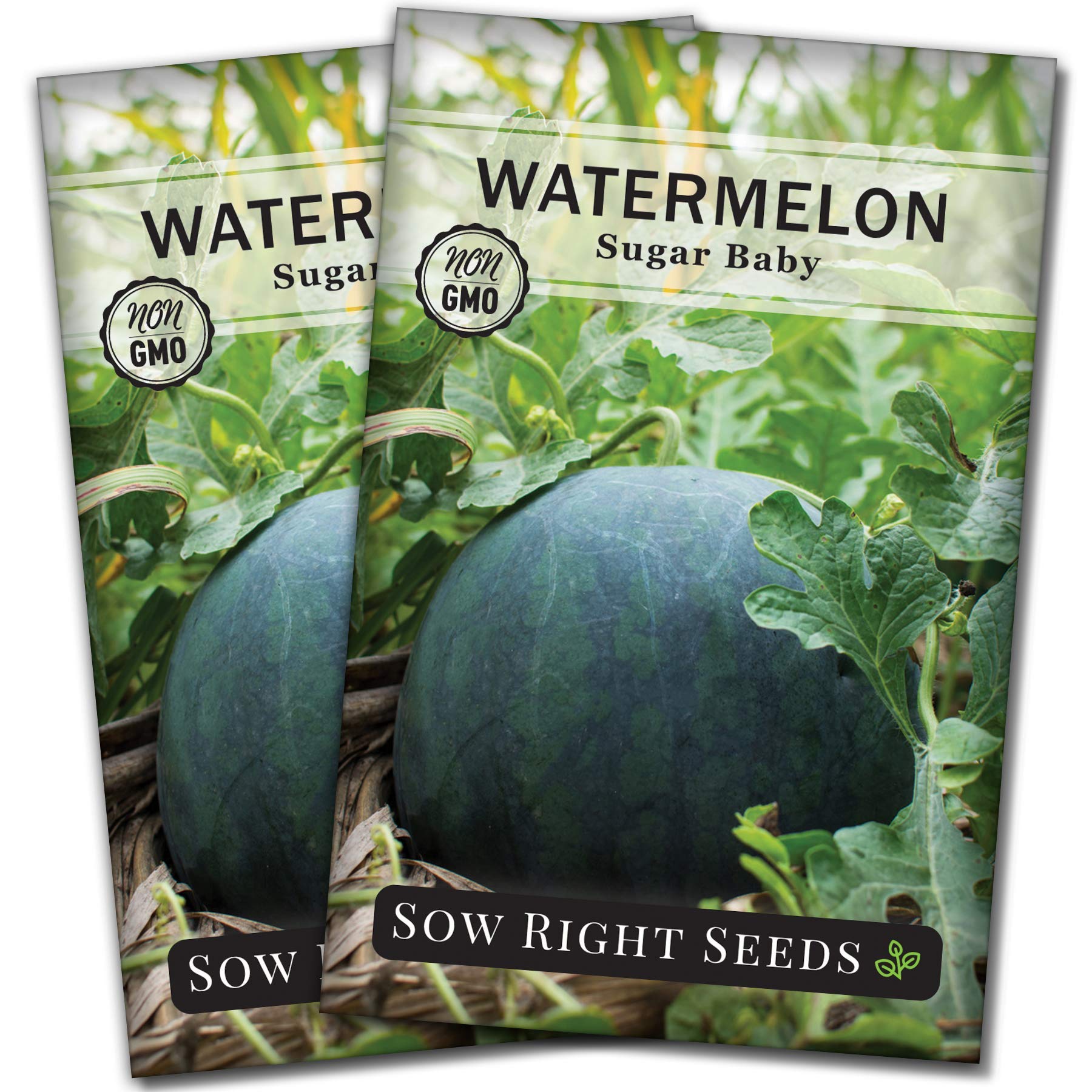 Sow Right Seeds - Sugar Baby Watermelon Seed for Planting - Non-GMO Heirloom Packet with Instructions to Plant a Home Vegetable Garden - Medium Sized with Dark Rind and Super Sweet Flesh (2)