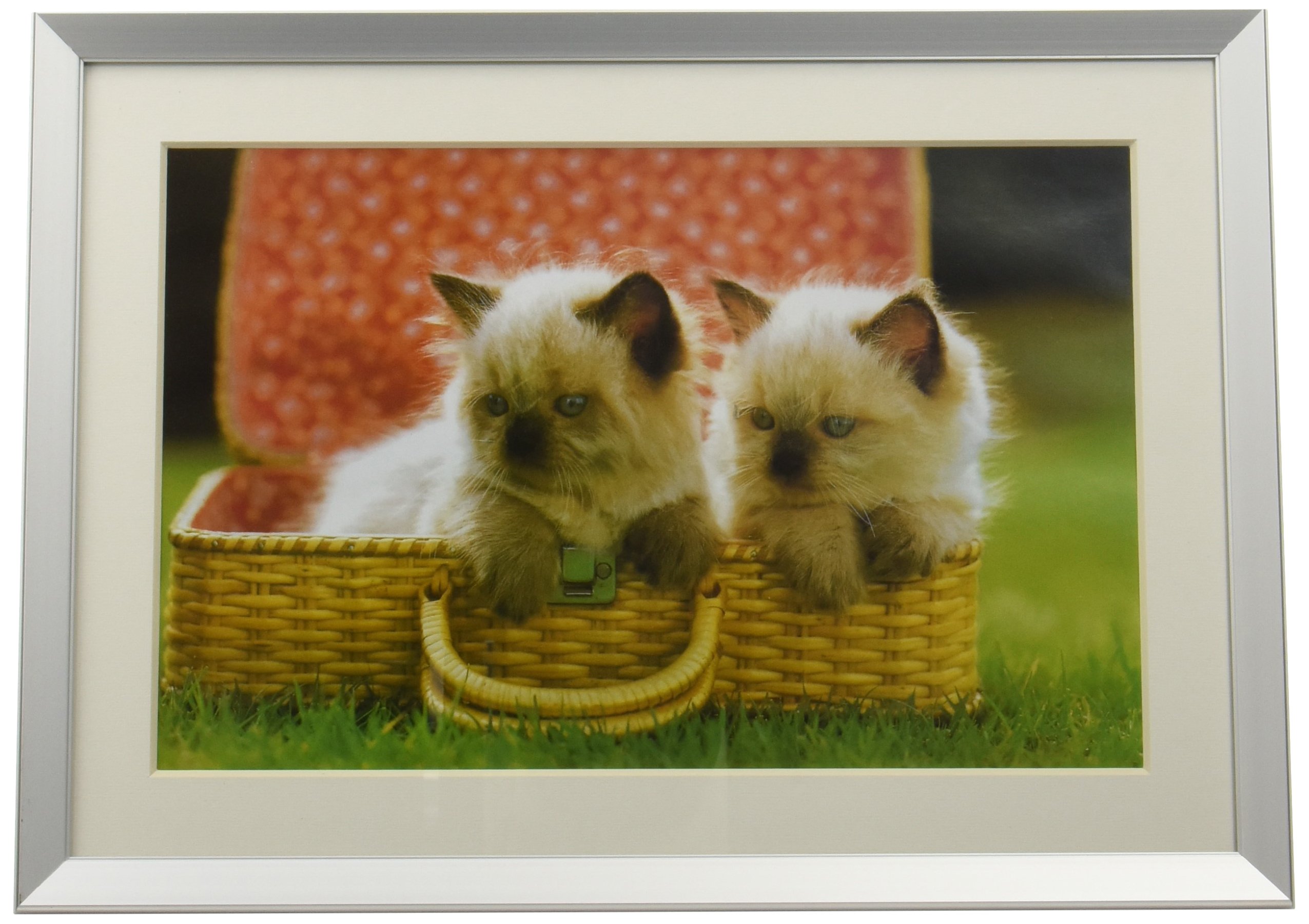 Amazon.co.jp: FUJICOLOR 額縁 A10N ワイド6切 アルミ シルバー 17615