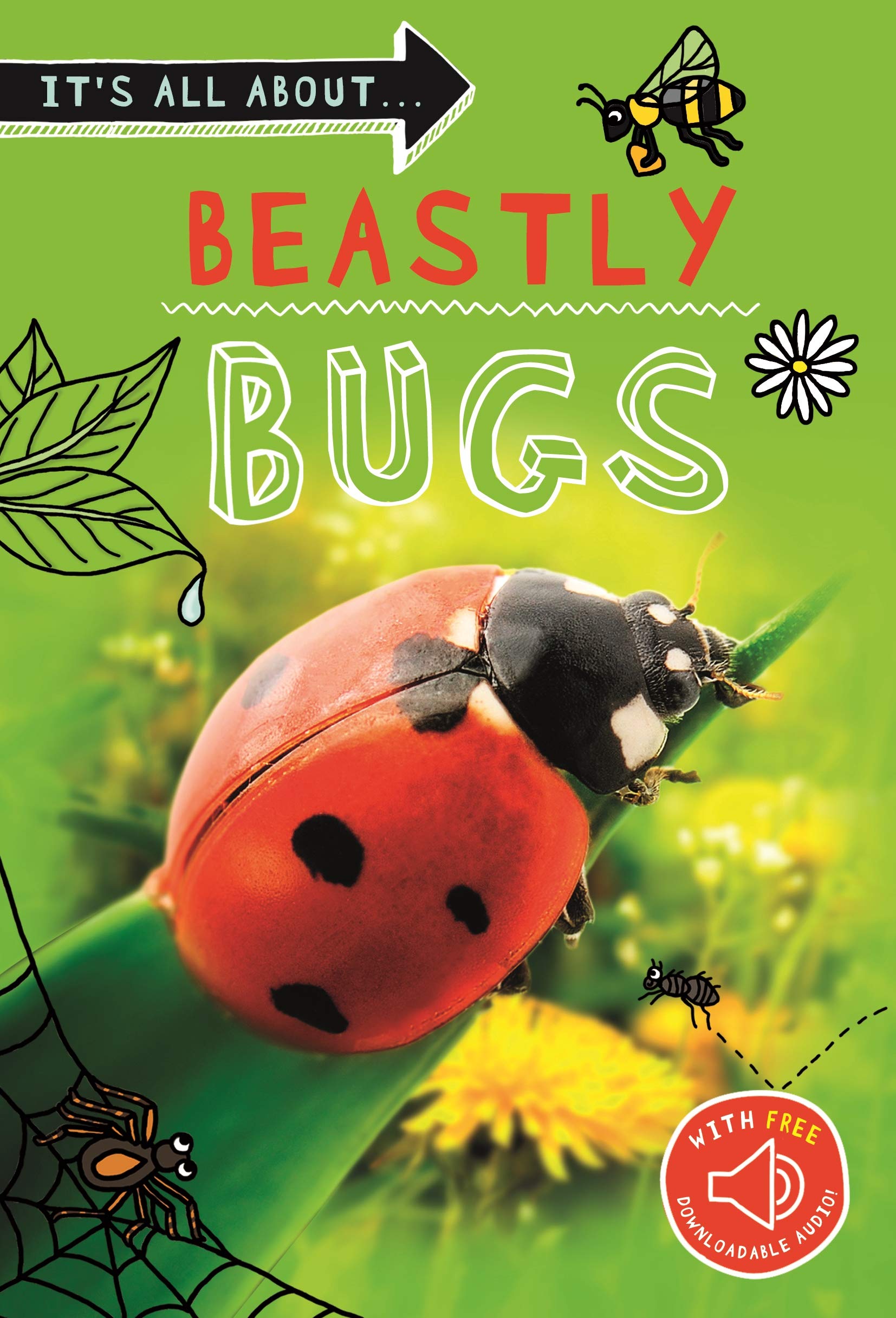 It's All About... Beastly Bugs: Everything you want to know about minibeasts in one amazing book