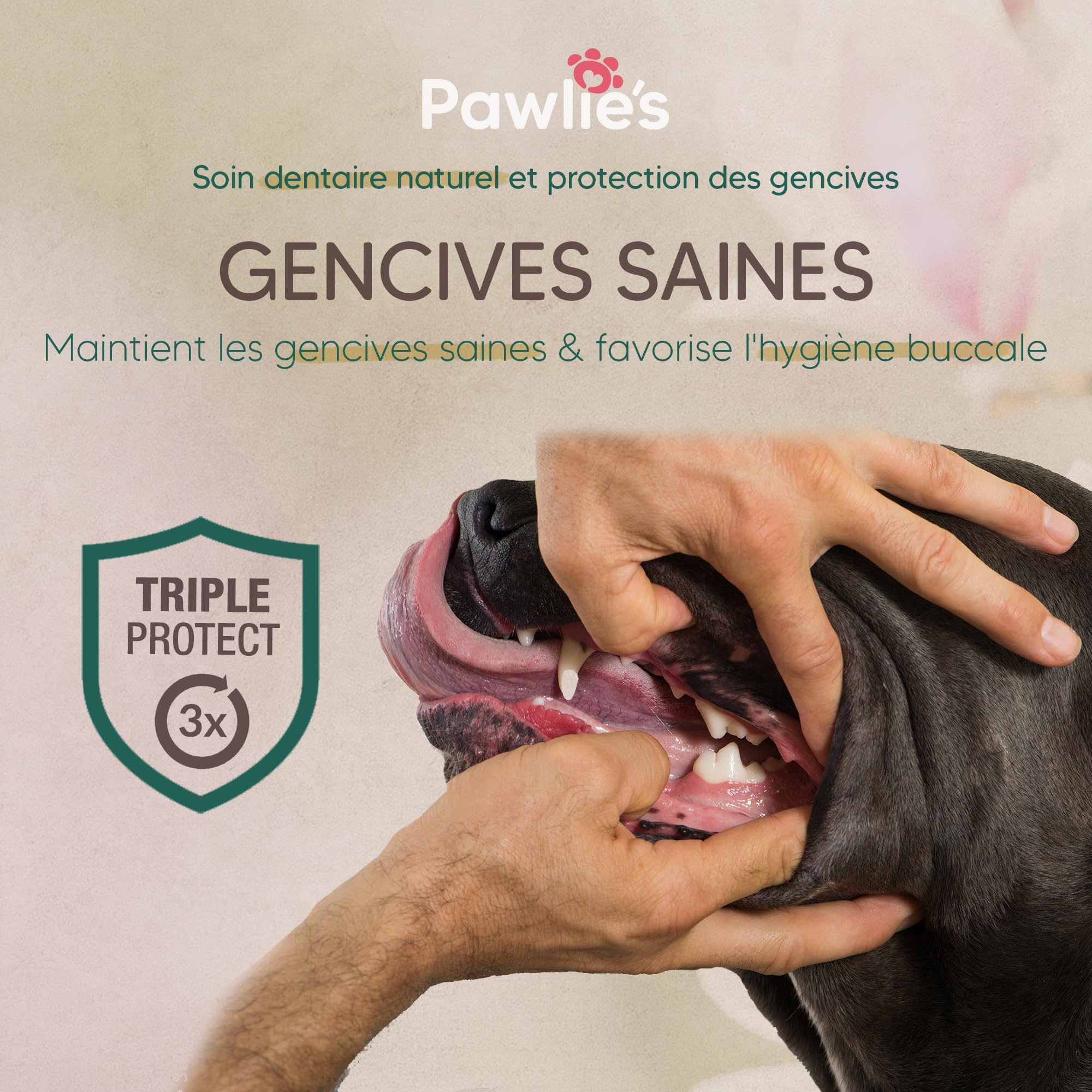 Pawlie's Dentifrice pour Chien - Soin Dentaire Naturel Contre le Tartre, la Mauvaise Haleine et la Gingivite Avec Magnolia et Vitamine E