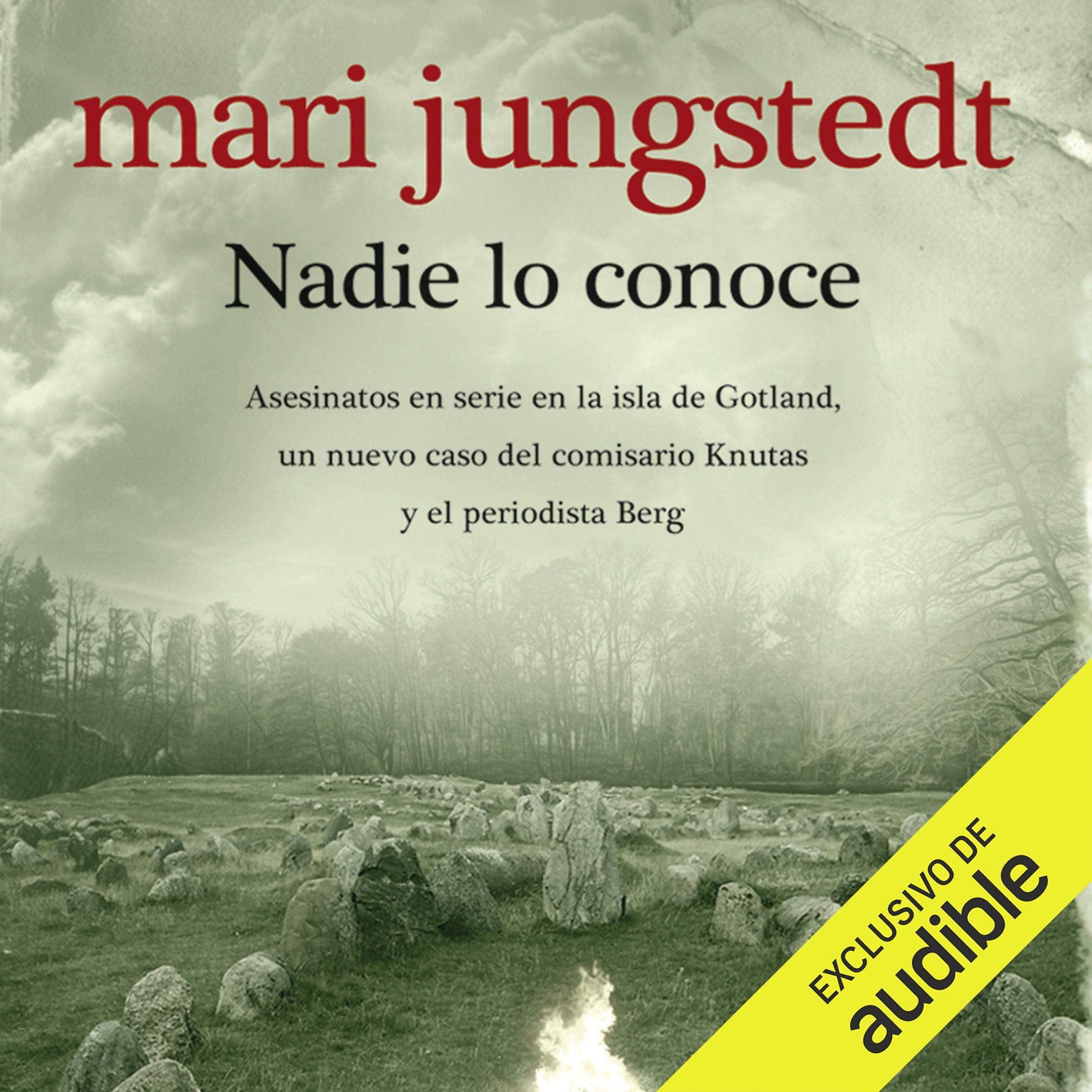 Cover art for Nadie lo conoce