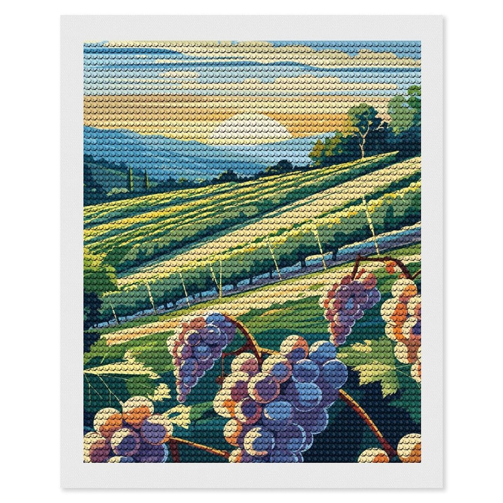 Junmoney Vineyard Landscape at Sunset Diamond Painting Canvas Set 16"x20", Easy to Enjoy, Adhesive Canvas, Office Decor, Holiday Gift Idea, with Tool Kit
