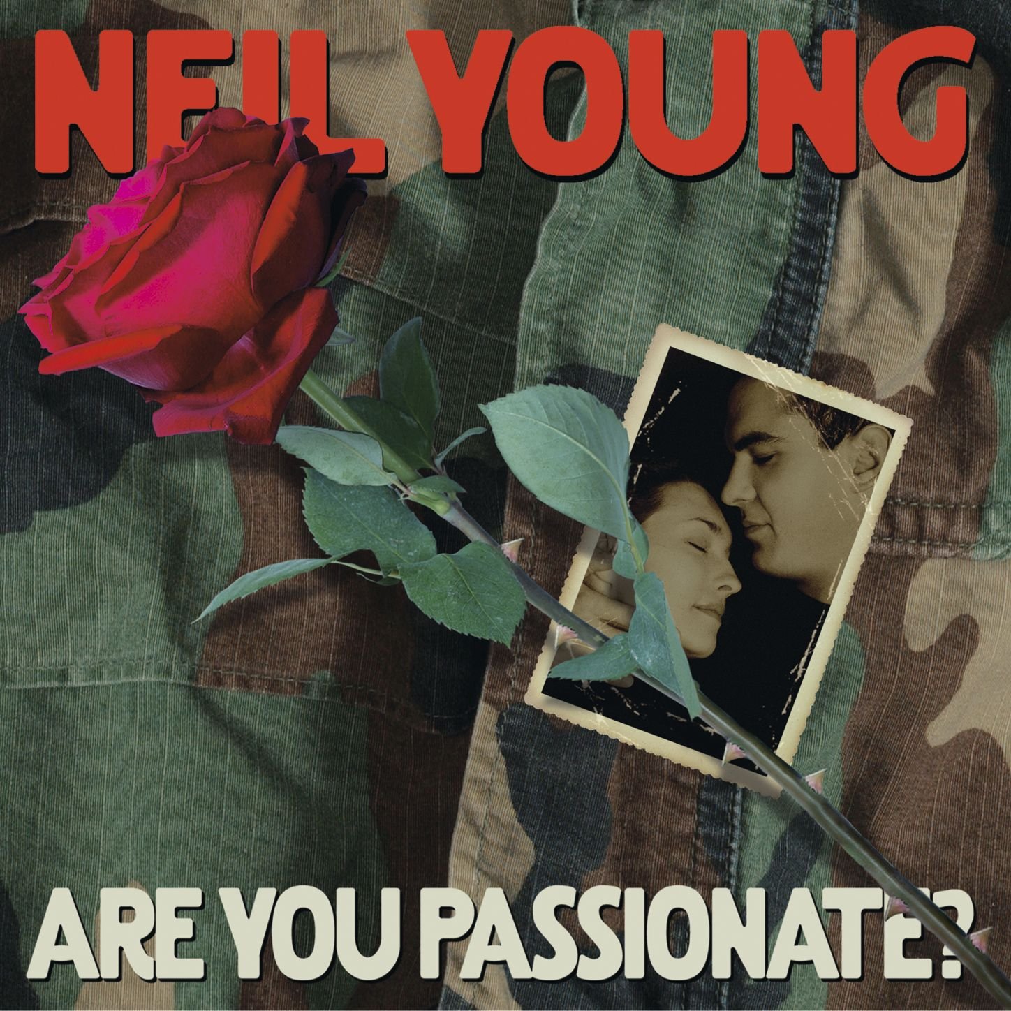 Are You Passionate [Audio CD] YOUNG,NEIL