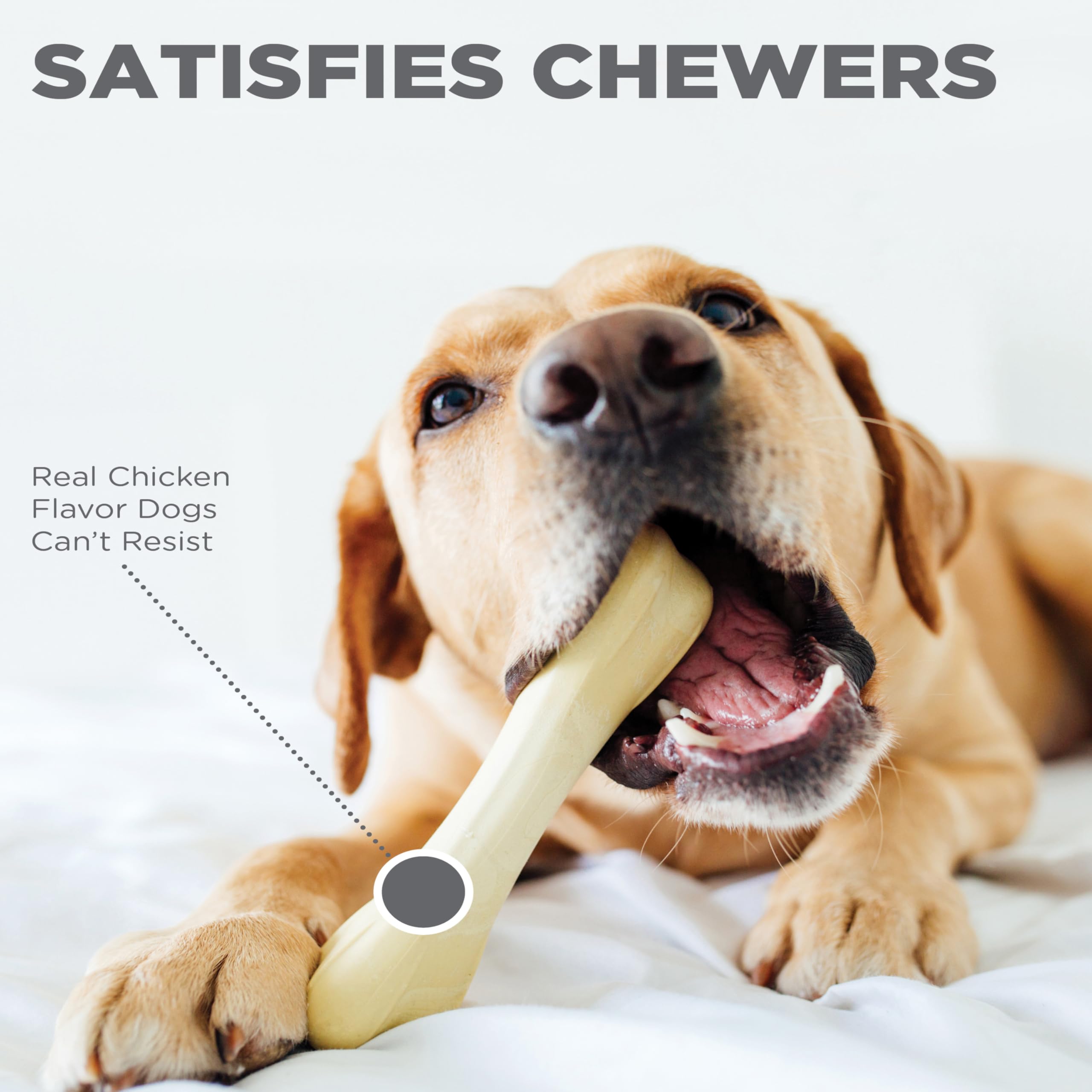 Petstages Chick-a-Bone チキンフレーバー XS 10個 Amazon.com: Petstages Chick-A-Bone Dog Chew Toy – Chicken