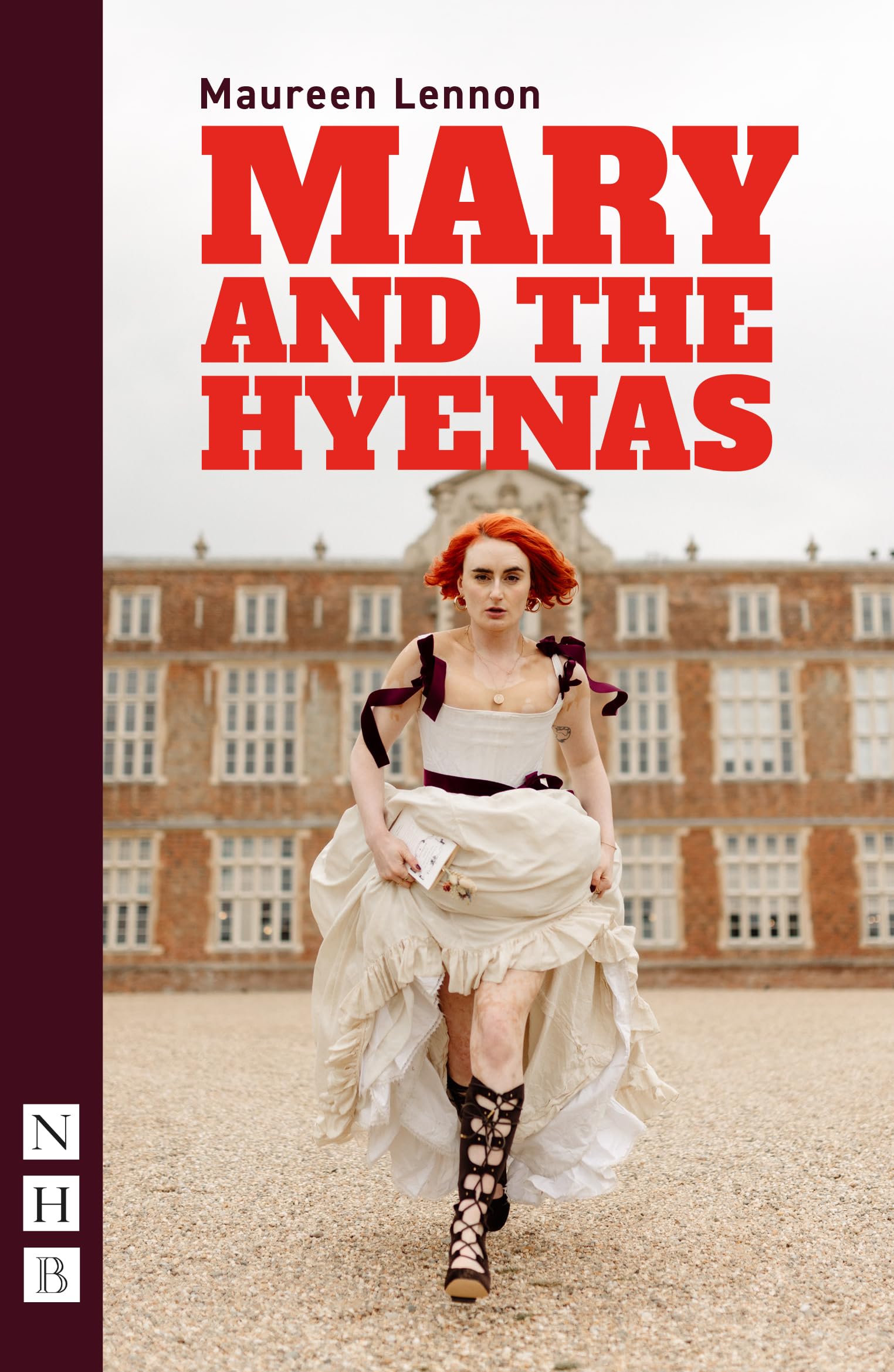 Mary and the Hyenas (NHB Modern Plays)