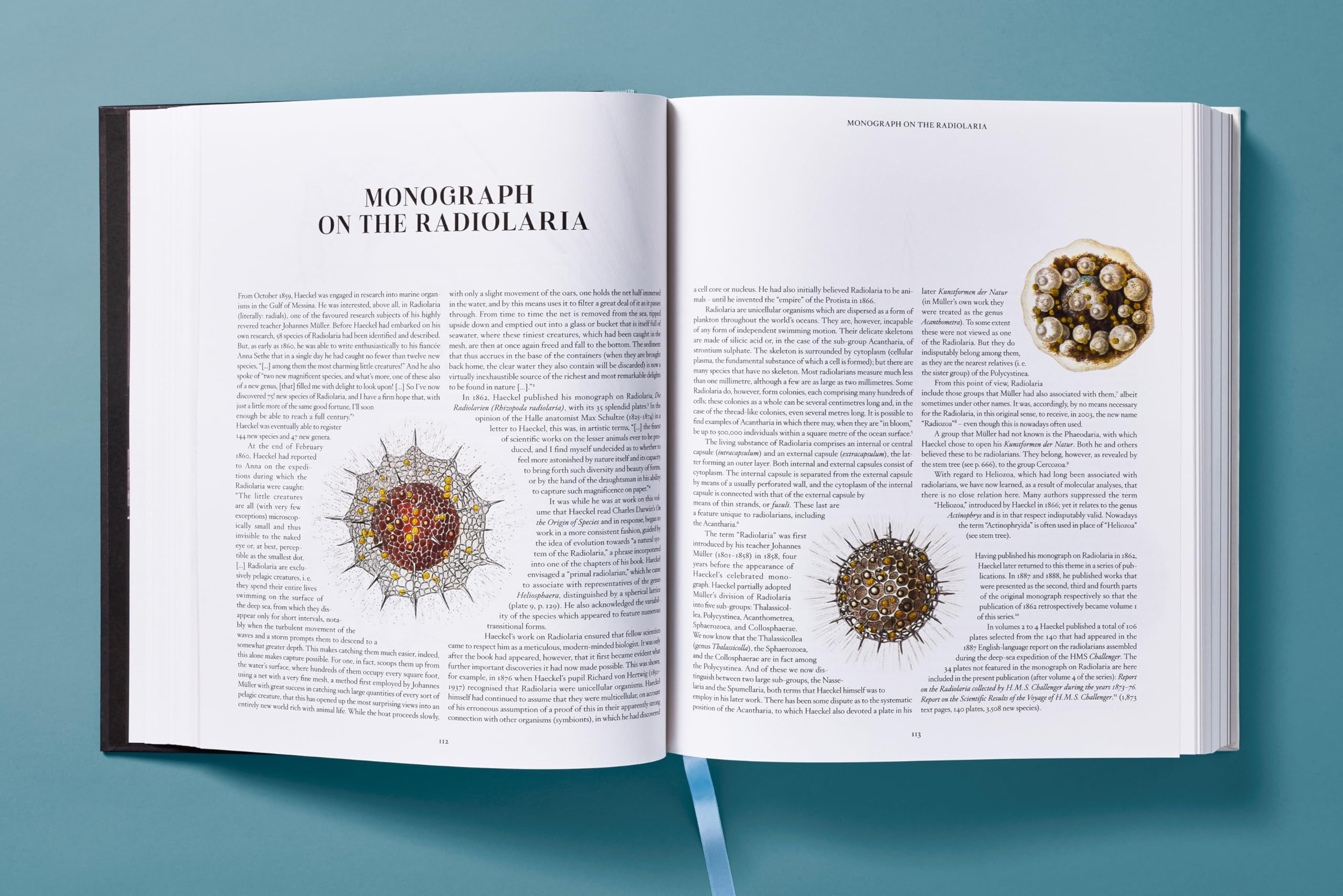 The Art and Science of Ernst Haeckel