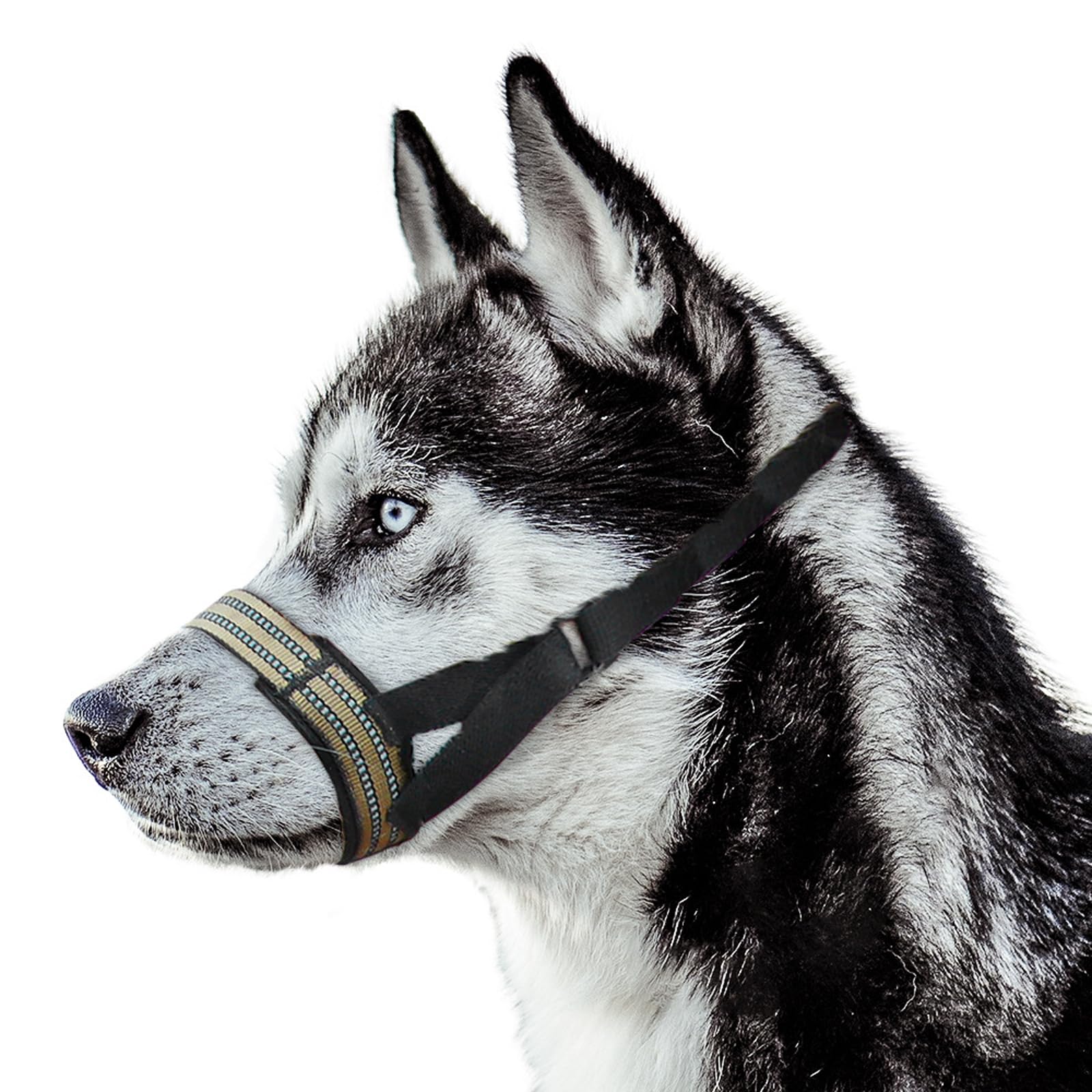 Dog Muzzle,Nylon Adjustable Anti-Bite Barking and Chewing Dog Muzzle with Reflective Strips,Dog Mouth Guard for Daily Behavior Training (Khaki, M:Snout Girth:20-25cm/7.8-9.8in)