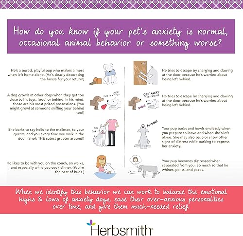 Miniatura 5 de Herbsmith Mezcla de hierbas Calm Shen para perros y gatos, 90 tabletas