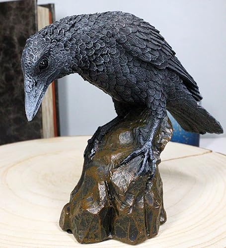 Miniatura 7 de Ebros Gift Figura gótica macabra Edgar Poe Perching Raven On Rock de 5 pulgadas de alto, cuervo gótico carroñero, decoración escultura