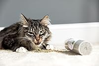 Vista 3 de Meowy Janes Mezcla natural de hierba gatera Silvervine, botella (1 taza)