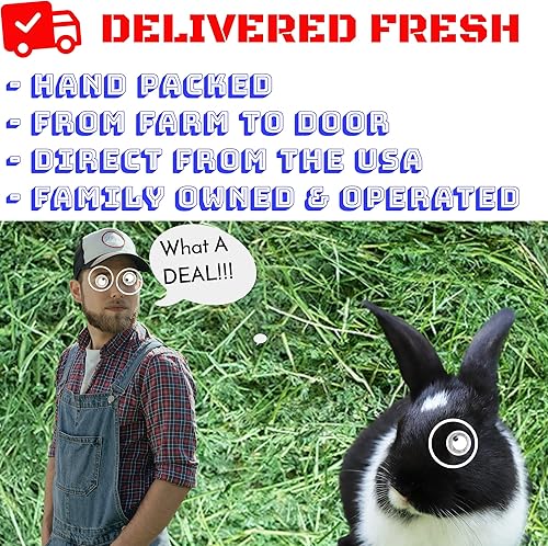 Vista 6 de Bunny Honey - Heno de alfalfa fresco, 20 libras, heno natural para conejillos de indias, conejos, hámsters, erizos y más mascotas de animales