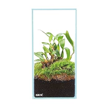 ＧＥＸ　ガラス水槽　グラステリア　フィット　１００　7個セット　ベタ水槽 Amazon | ジェックス GEX AQUARIUM グラステリアフィット100