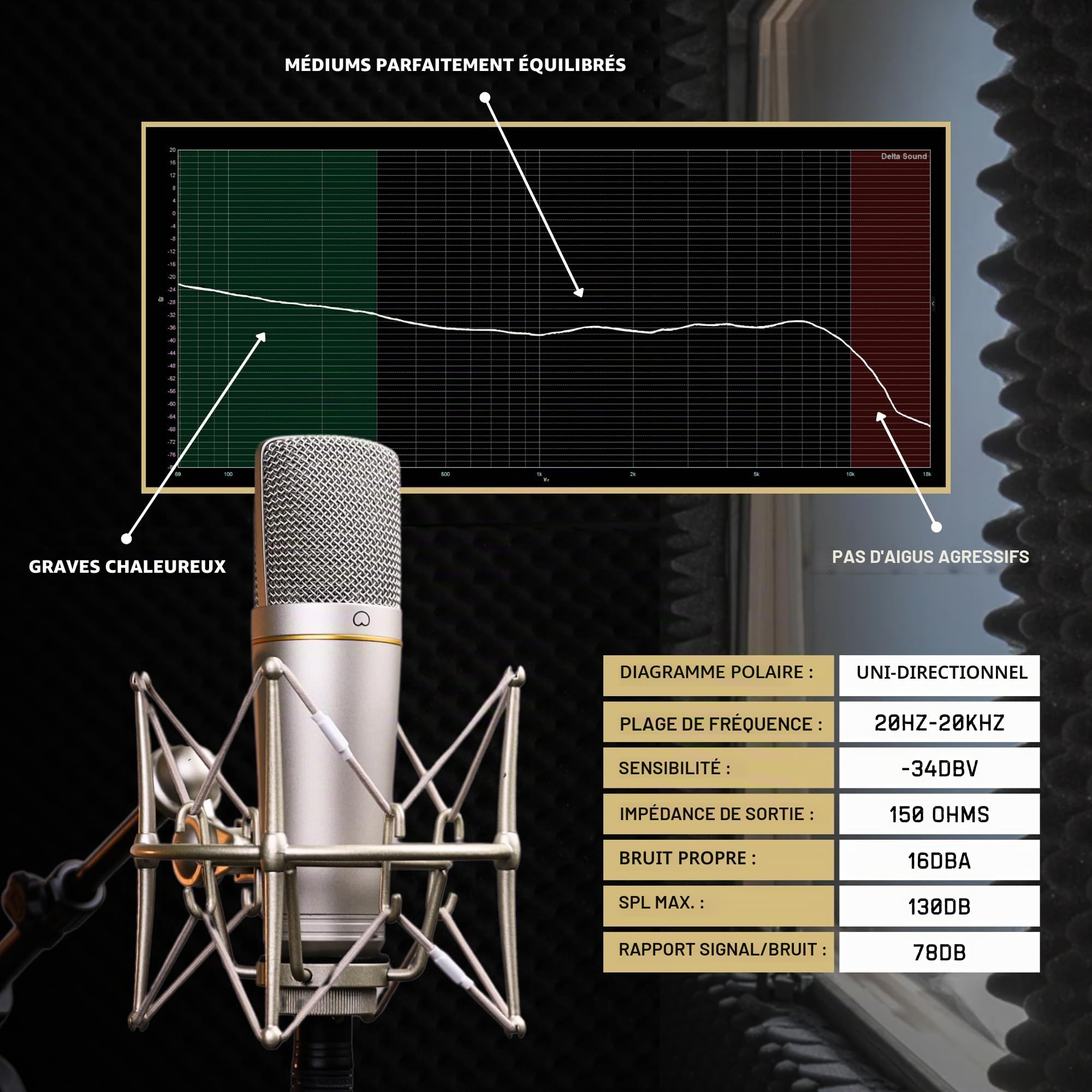 MA-67 Microphone à condensateur de studio, capsule à large diaphragme doré de 34 mm, avec filtre hydropop, support antichoc en métal, câble XLR et sac de micro – pour production de musique,
