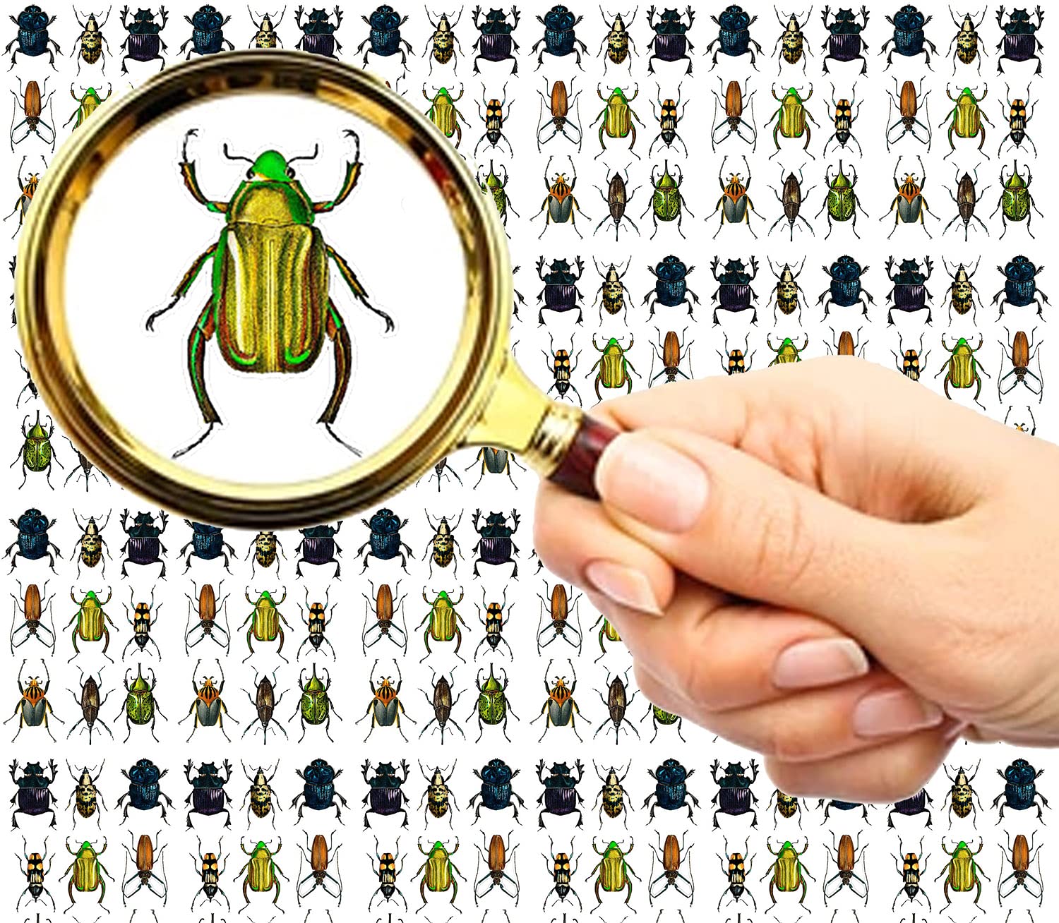 Flonz Multicolor Flonznail Nail Stickers Decal Transfers (5 Sheets) Bugs Vintage Illustration