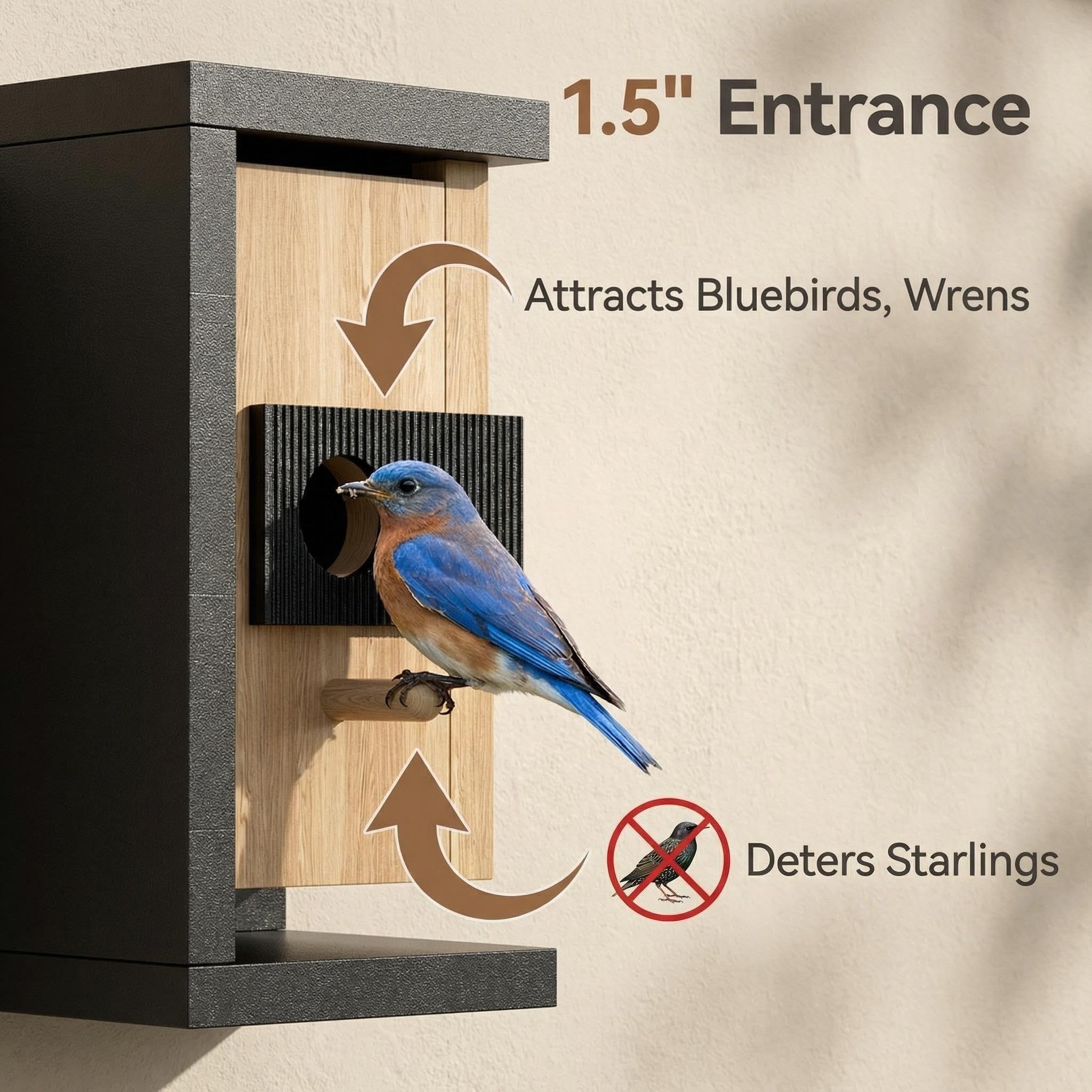 Smart Bird House with Camera Solar Powered, 2K Live Video & Night Vision for 24/7 Nesting Recording, Auto Detect & Notify, Ideal Nature Gift for Bird Lovers, AI Identify Lifetime Free - 3