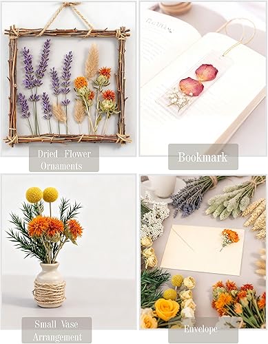 Miniatura 8 de Juego de flores secas naturales, flores secas a granel para jarrón, flores secas con tallos, rosas secas, mini ramos de flores secas (marrón)