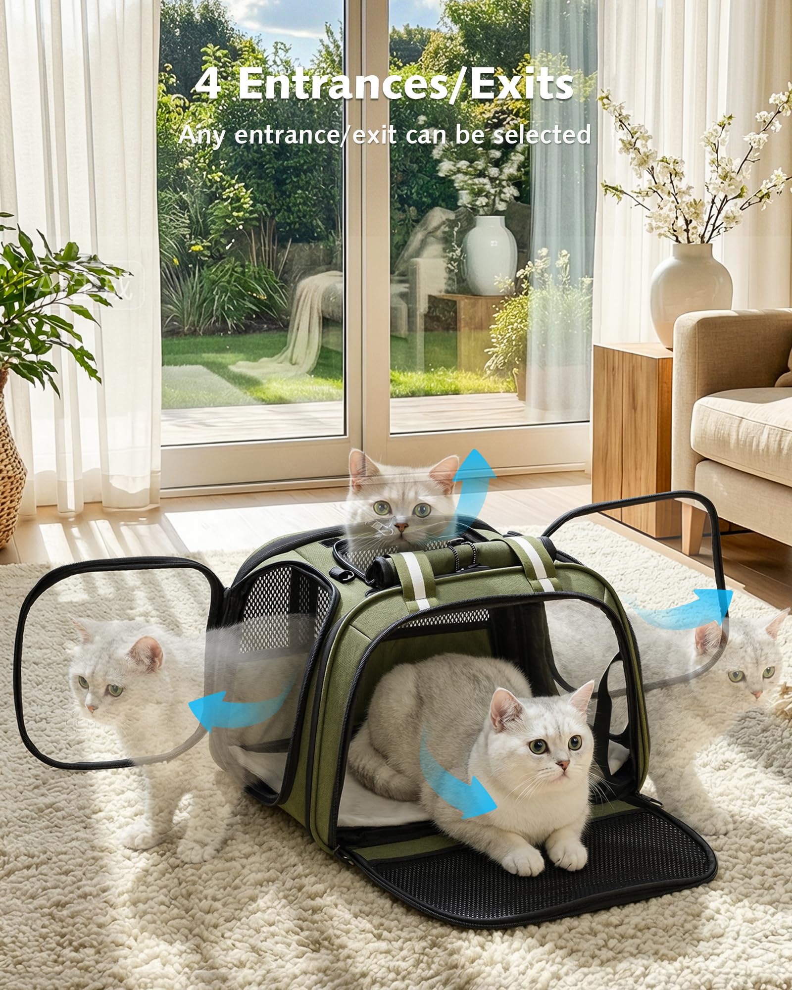 Pecute Sac Transport Chat Grande Capacité, Sac De Transport pour Chat Respirant, Stransport À Bulles pour Chats Curieux, Sac De Transport pour Chien, Vert, M