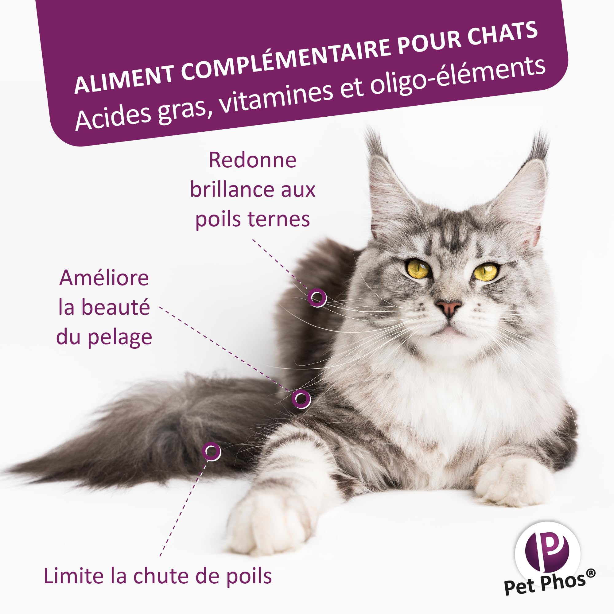 Pet PHOS Pelage Chat - Pelage Sec, terne et abîmé - Chute abondante des Poils - Période de mue - Préparation aux Concours et expositions.