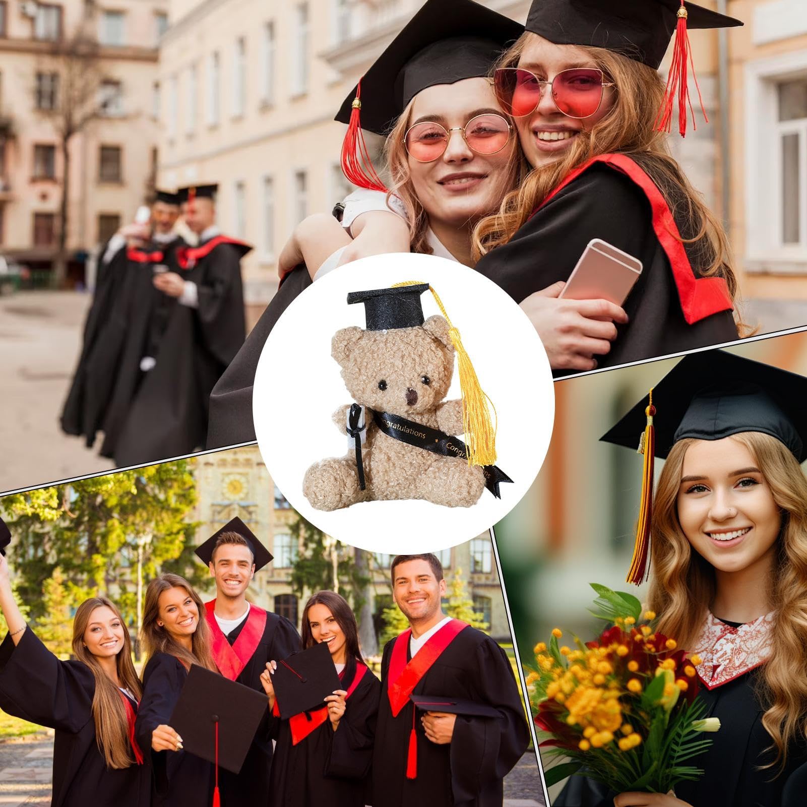 Generico Orso di laurea, orso di laurea imbottito,Giocattolo