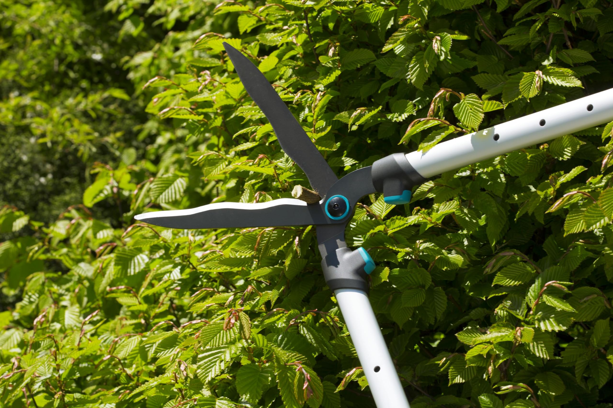 TeleCut Heckenschere