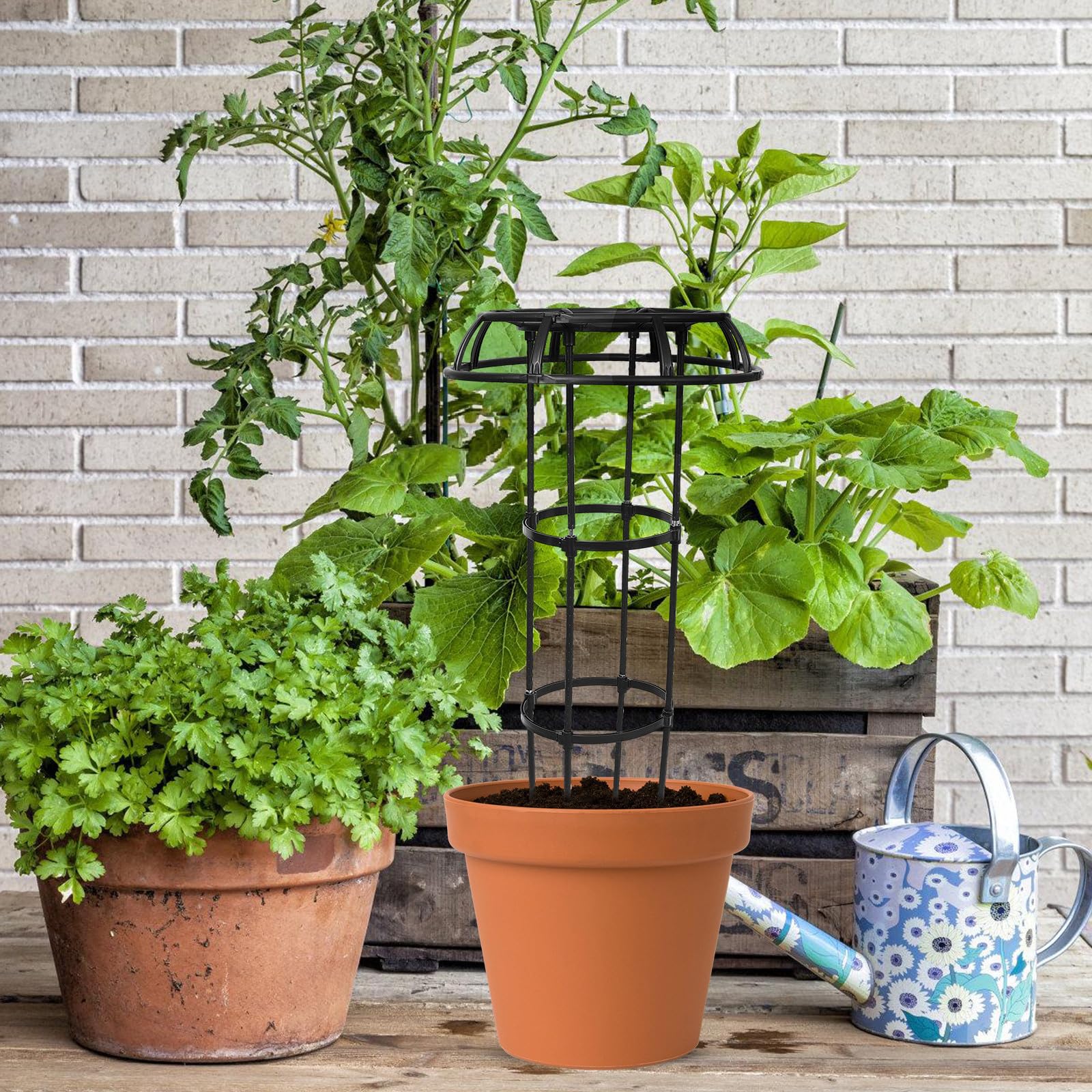 POPETPOP Enrejado Negro 25.4 Soporte para Plantas en Interiores Plástico Recubierto de Hierro y PP para Plantas Trepadoras Interior y Exterior