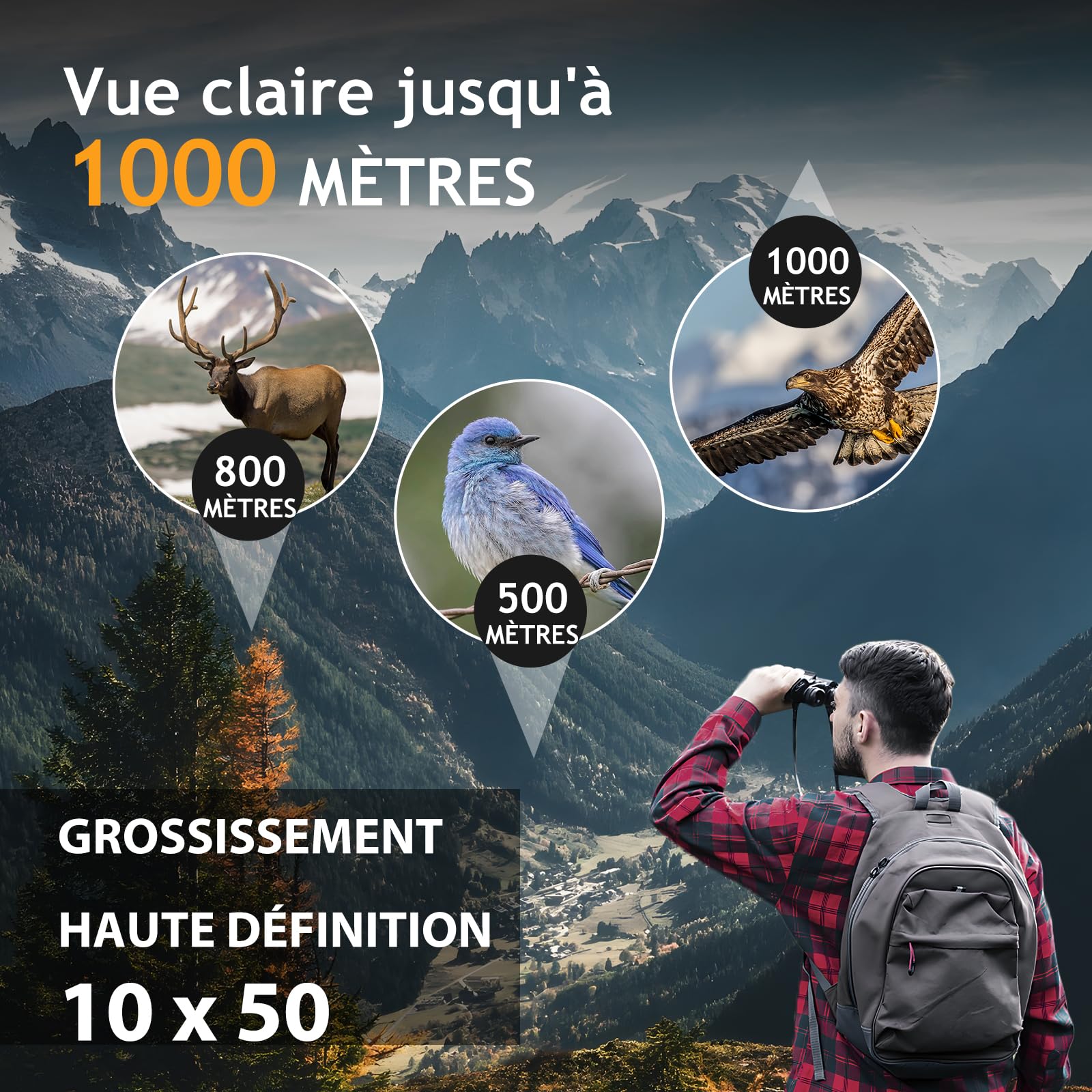 Jumelles HD 10x50 pour Adultes. Jumelles puissantes | Étanche et compact, adapté à l'observation des oiseaux et aux voyages. Vision par faible luminosité, poignée antidérapante