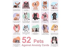 Mindful Prompts for Stress Relief: 52 Affirmation Cards to Cultivate Mindfulness