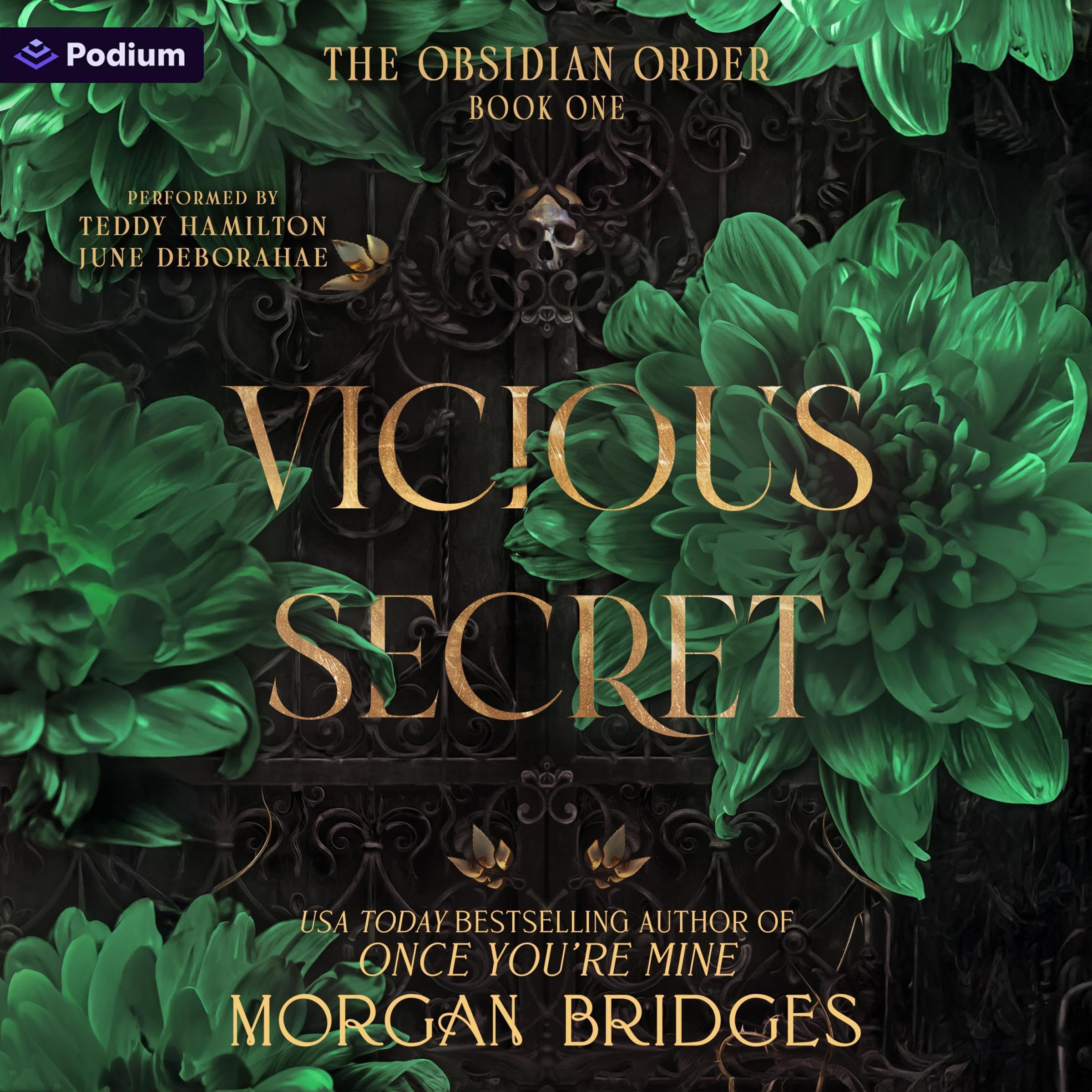 Cover art for Vicious Secret