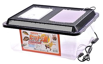 Amazon | レップジャパン セット温 (オン) 特大フラットプラ