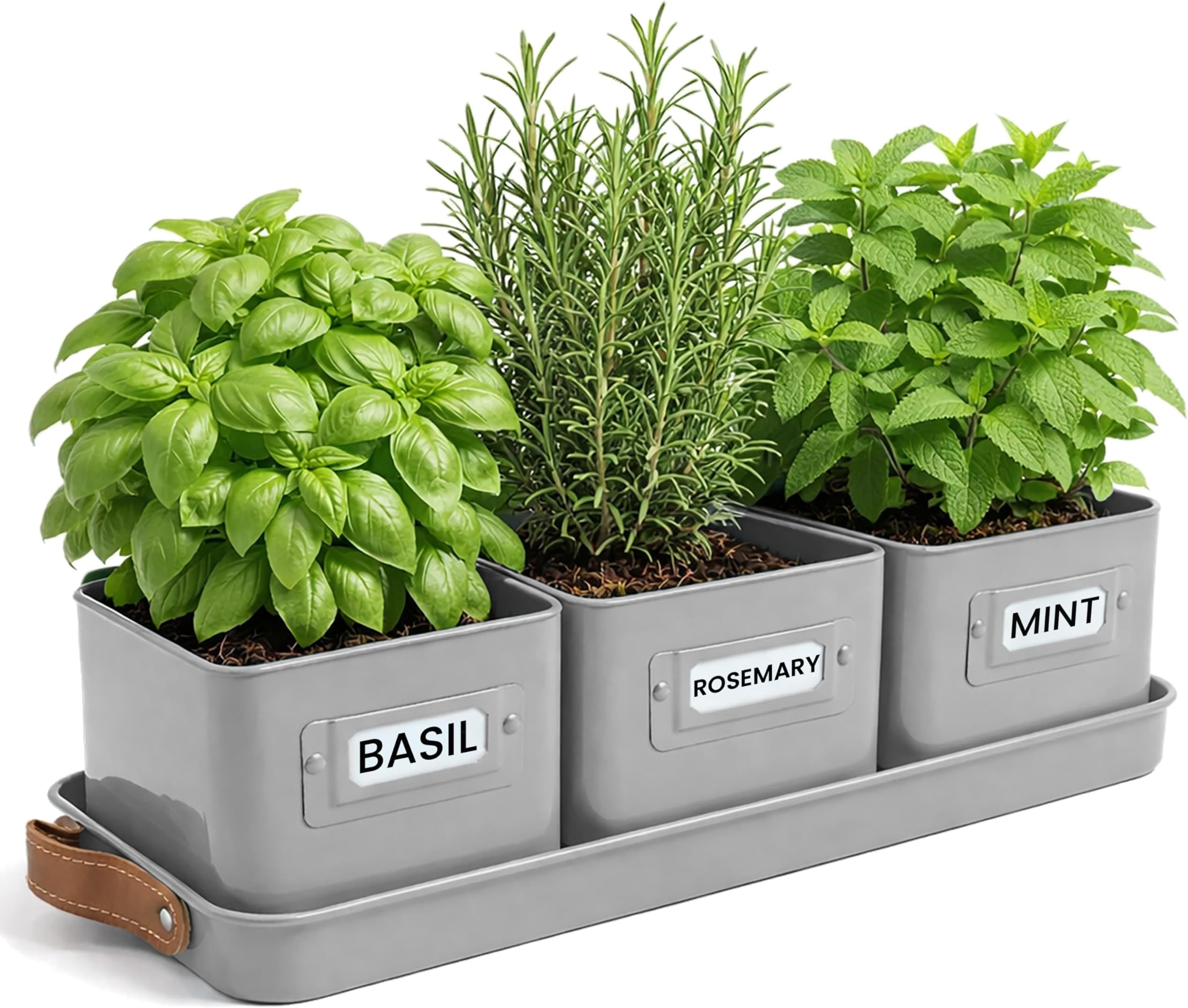 Green Thumbz Herb Pots for Kitchen Windowsill - Set of 3 Charcoal Grey Herb Planter Indoor with Leather Handled Tray - Ideal for an Indoor Herb Garden, Plants and Flowers - Labels Included