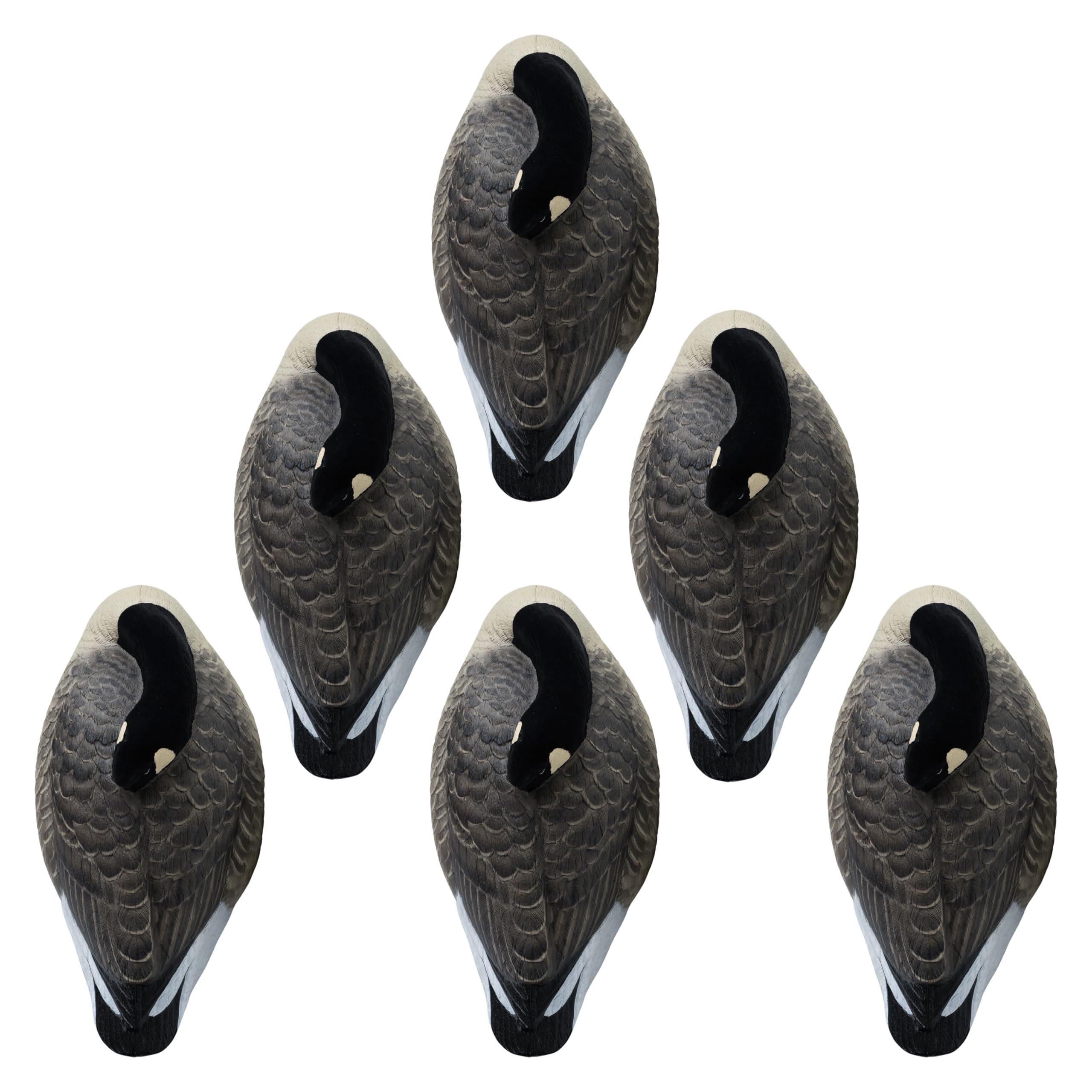 Hardcore Waterfowl Rugged Series Canada Sleeper Shell Decoys - Flocked Head 6 Pack