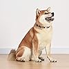 Product Photo 5