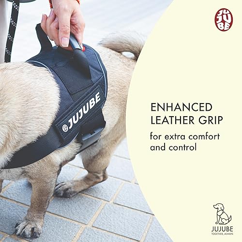 Miniatura 5 de Jujube Arnés para perro (grande)