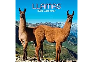 2024 Llama Calendar: Your Daily Dose of Delight