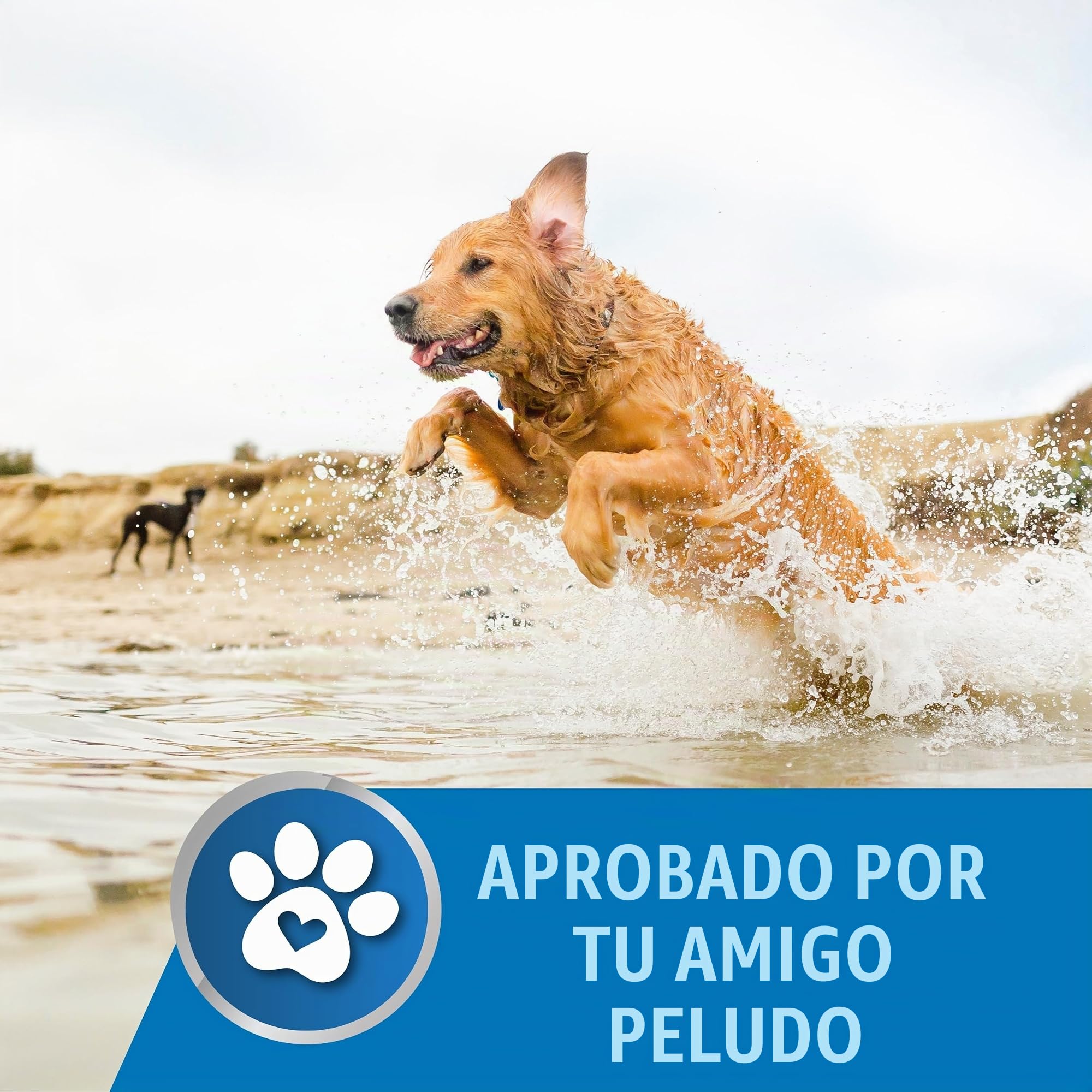 Vendaje líquido, reparación líquida de la piel para talones, pies, dedos, rasguños y ampollas, tratamiento líquido impermeable para todas las áreas de la piel (0.17 onzas líquidas)