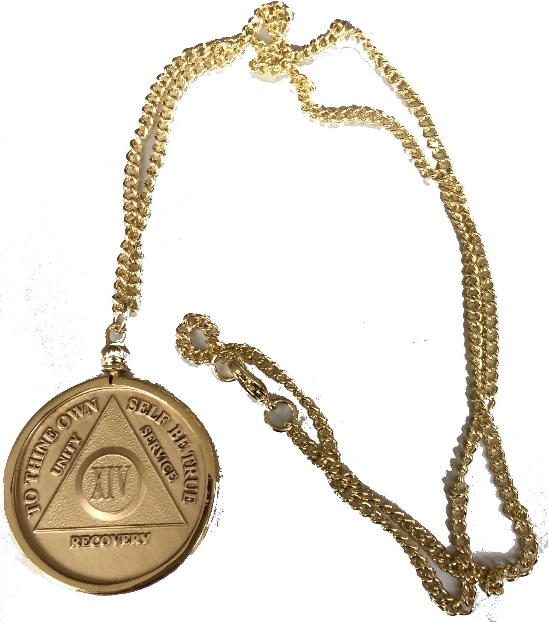 Wendell's Fit AA NA Medallion Sobriety Chip Necklace Medallion Holder 22" Fits 34x2mm Coins