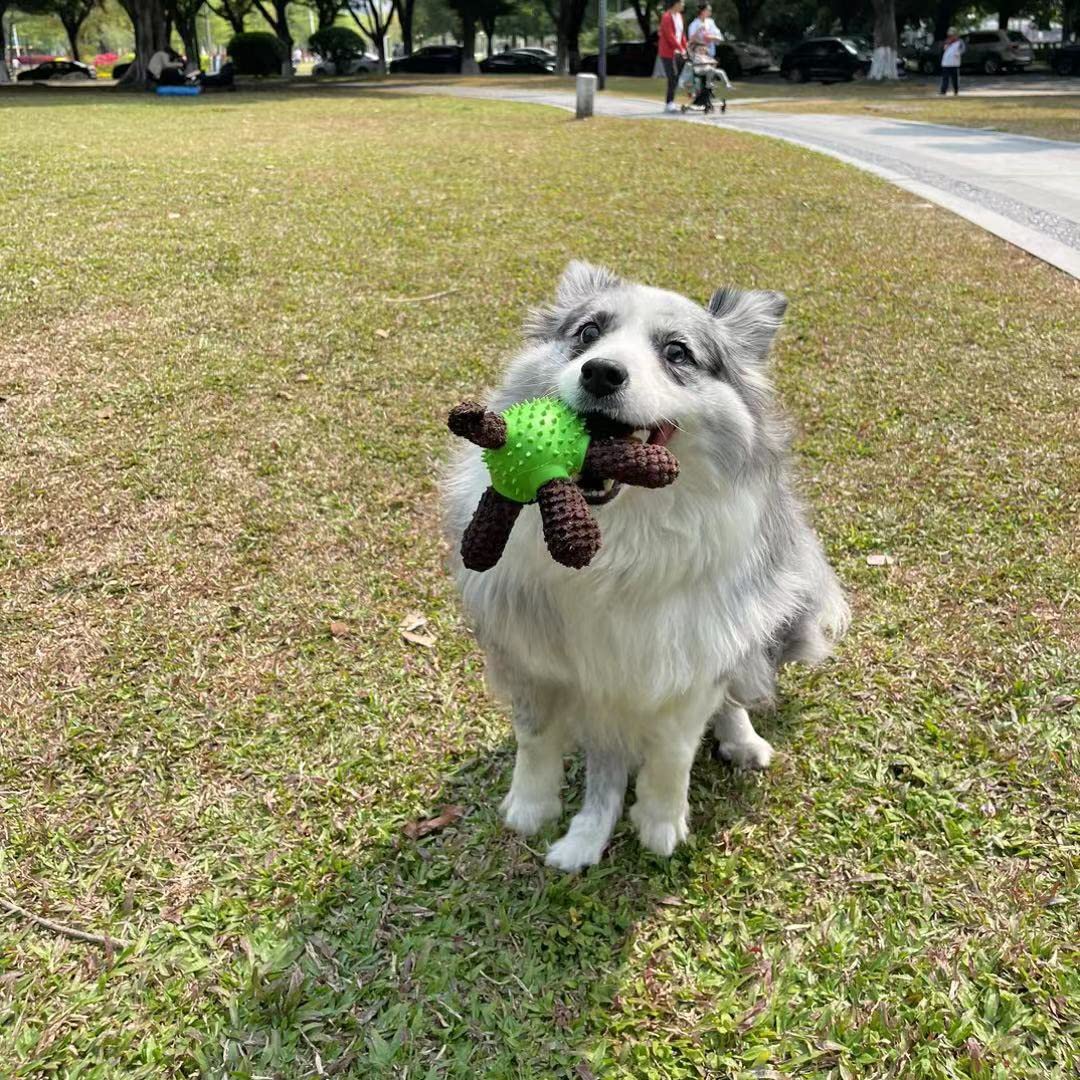 Juguetes chirriantes para perros, juguetes interactivos de felpa duraderos para mascotas, juguete dispensador de alimentos, divertido juguete de goma para masticar para cachorros, perros